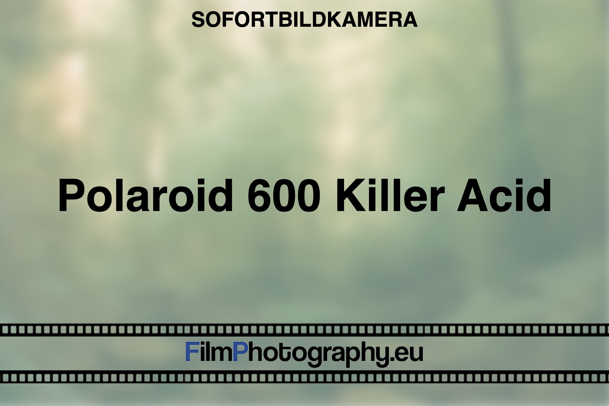 polaroid-600-killer-acid-sofortbildkamera-bnv
