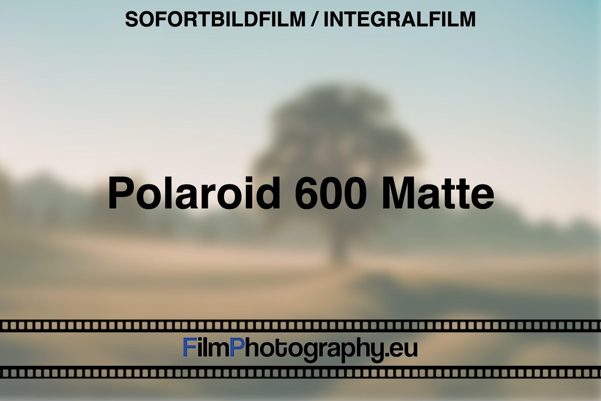 polaroid-600-matte-sofortbildfilm-integralfilm-bnv