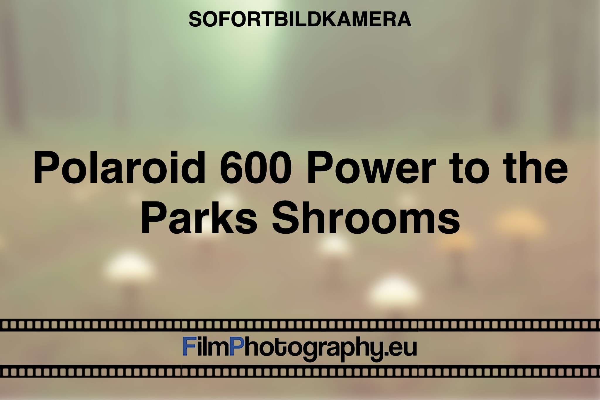 polaroid-600-power-to-the-parks-shrooms-sofortbildkamera-fp-bnv