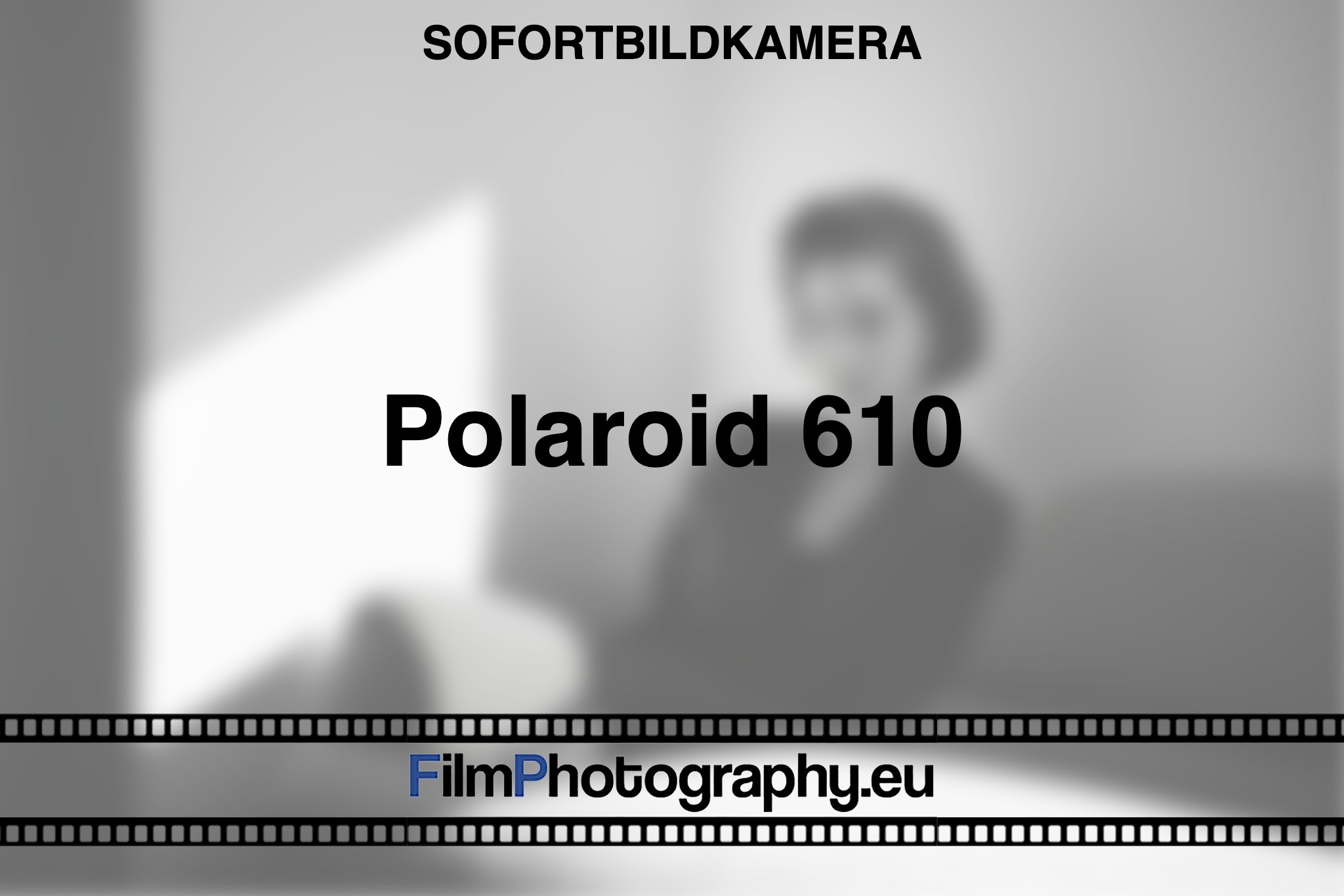 polaroid-610-sofortbildkamera-bnv