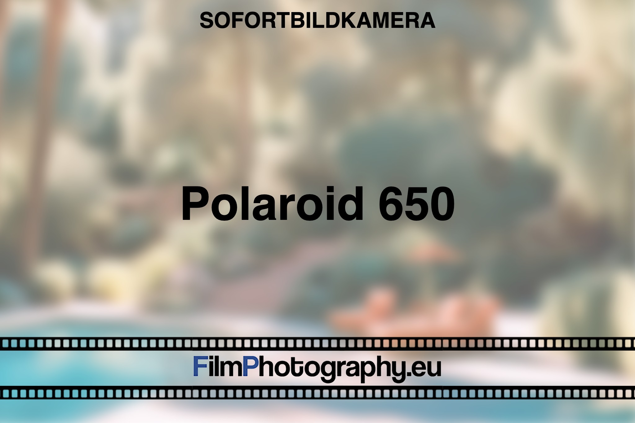 polaroid-650-sofortbildkamera-bnv