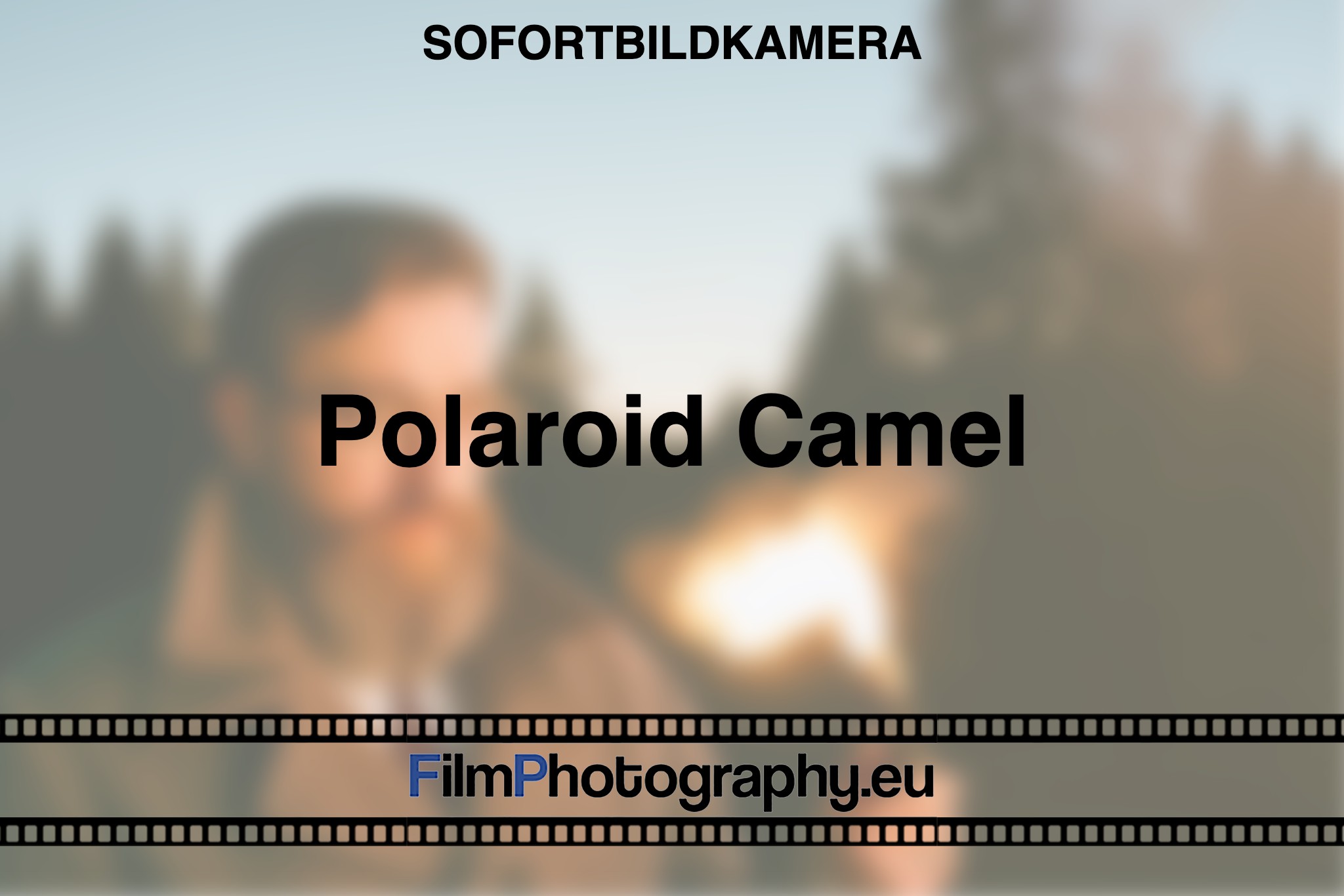 polaroid-camel-sofortbildkamera-fp-bnv