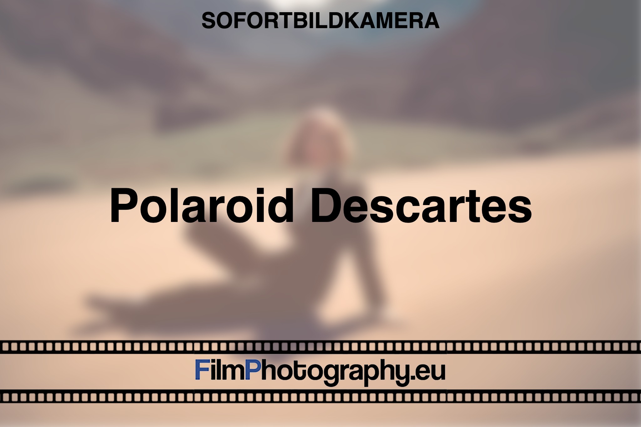 polaroid-descartes-sofortbildkamera-bnv