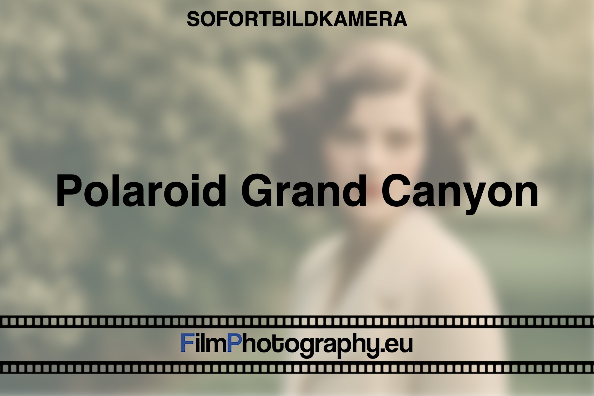 polaroid-grand-canyon-sofortbildkamera-bnv