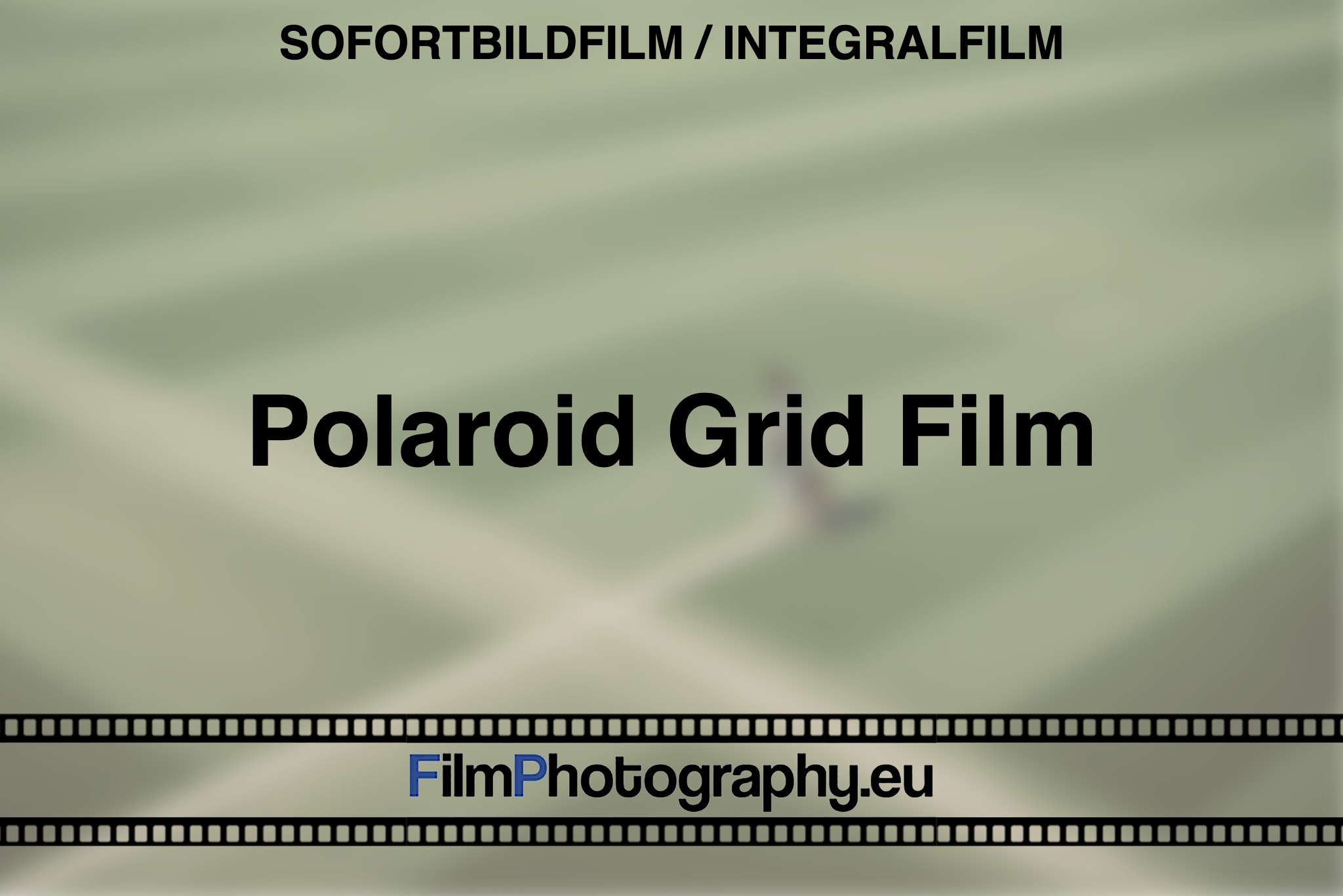 polaroid-grid-film-sofortbildfilm-integralfilm-fp-bnv