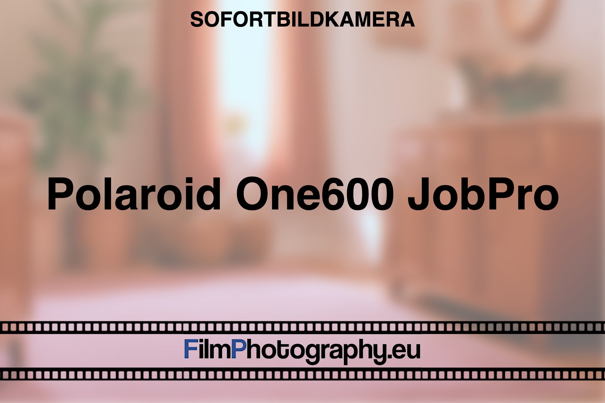 polaroid-one600-jobpro-sofortbildkamera-bnv