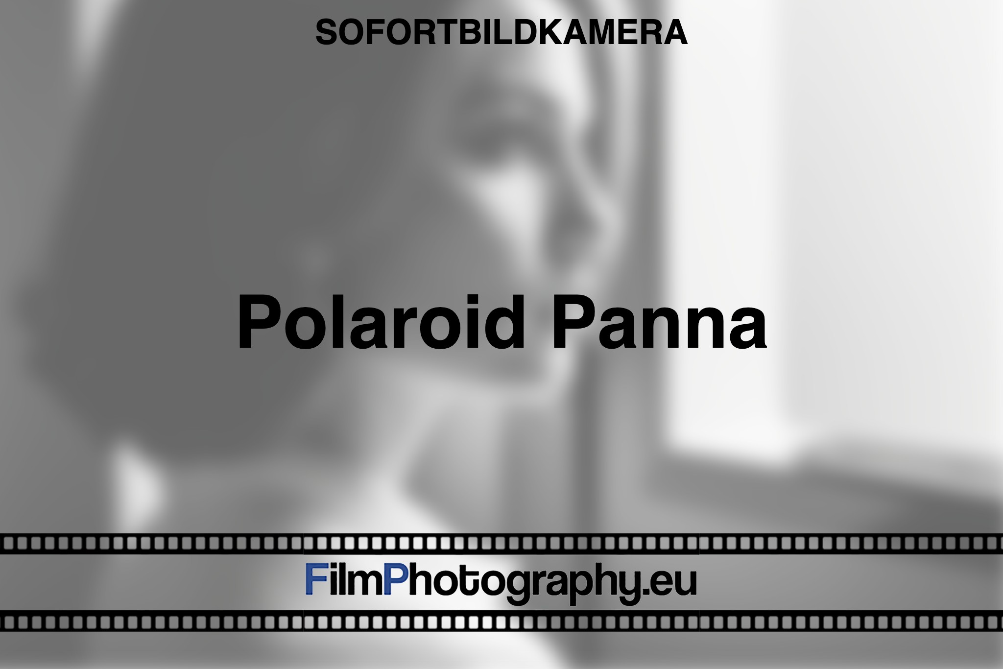 polaroid-panna-sofortbildkamera-bnv