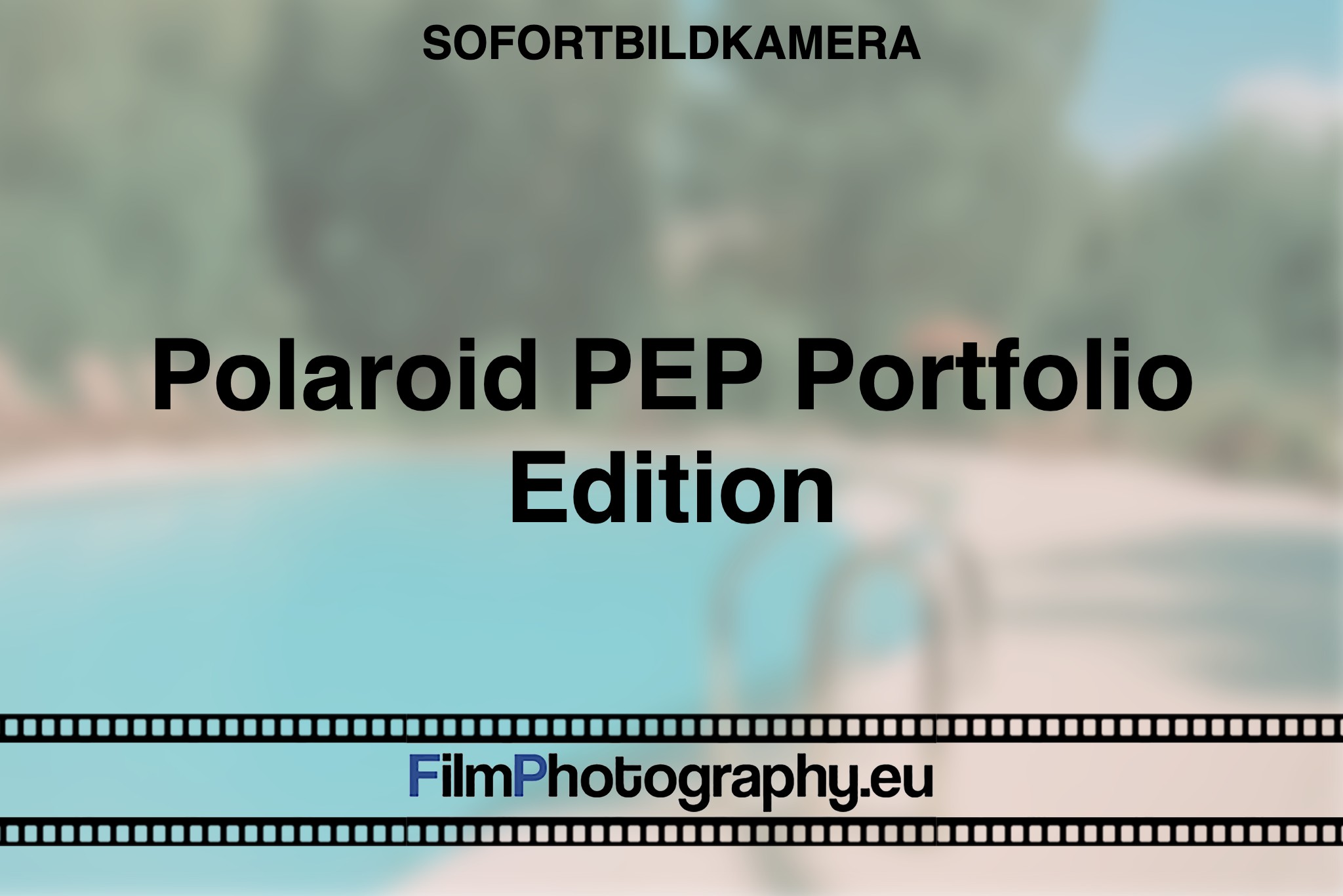 polaroid-pep-portfolio-edition-sofortbildkamera-bnv