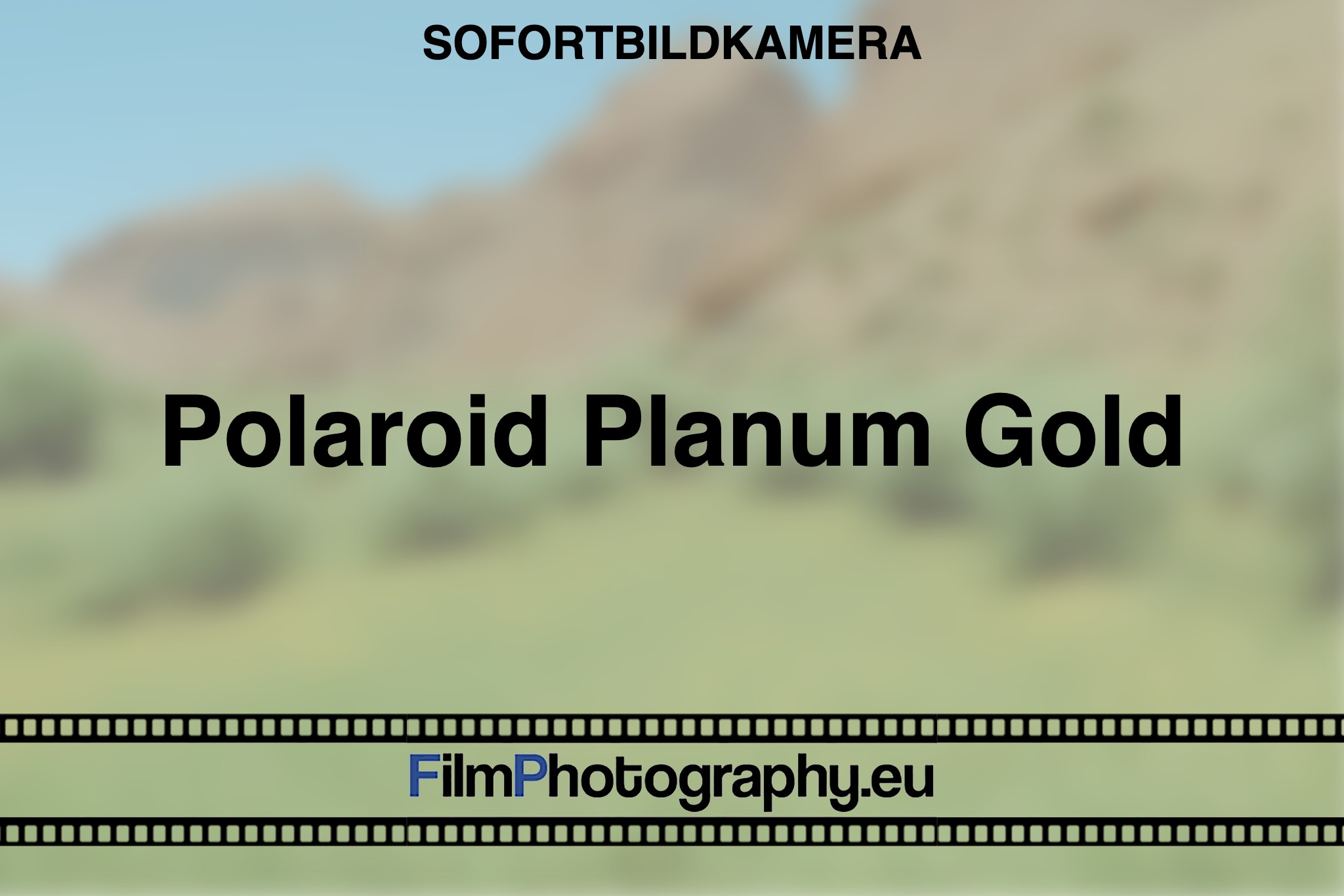 polaroid-planum-gold-sofortbildkamera-bnv