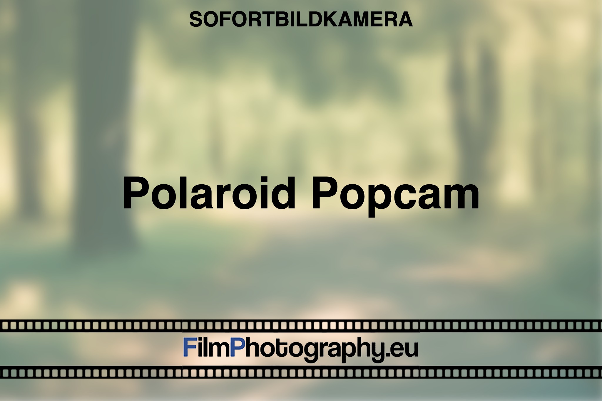 polaroid-popcam-sofortbildkamera-bnv