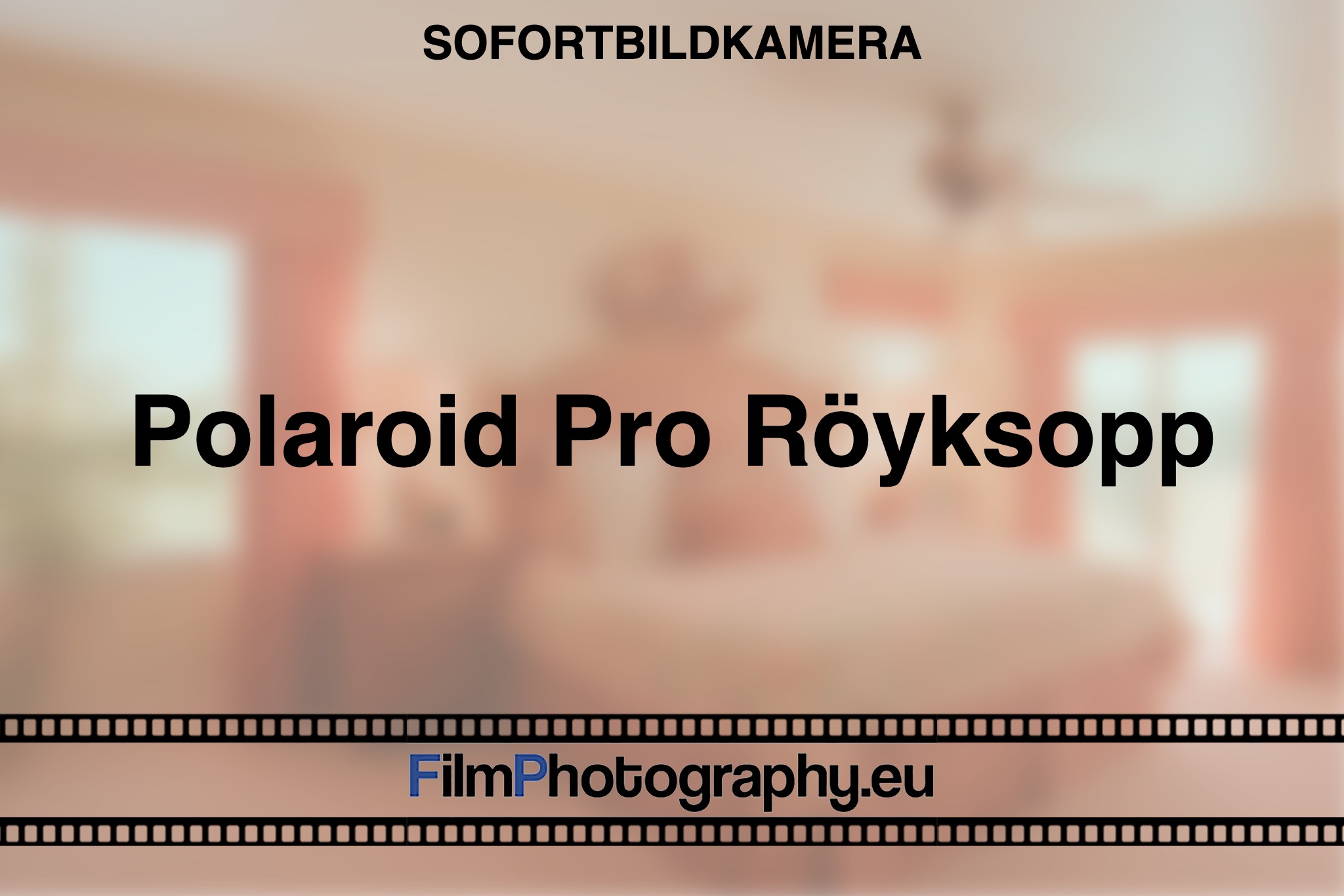 polaroid-pro-roeyksopp-sofortbildkamera-bnv