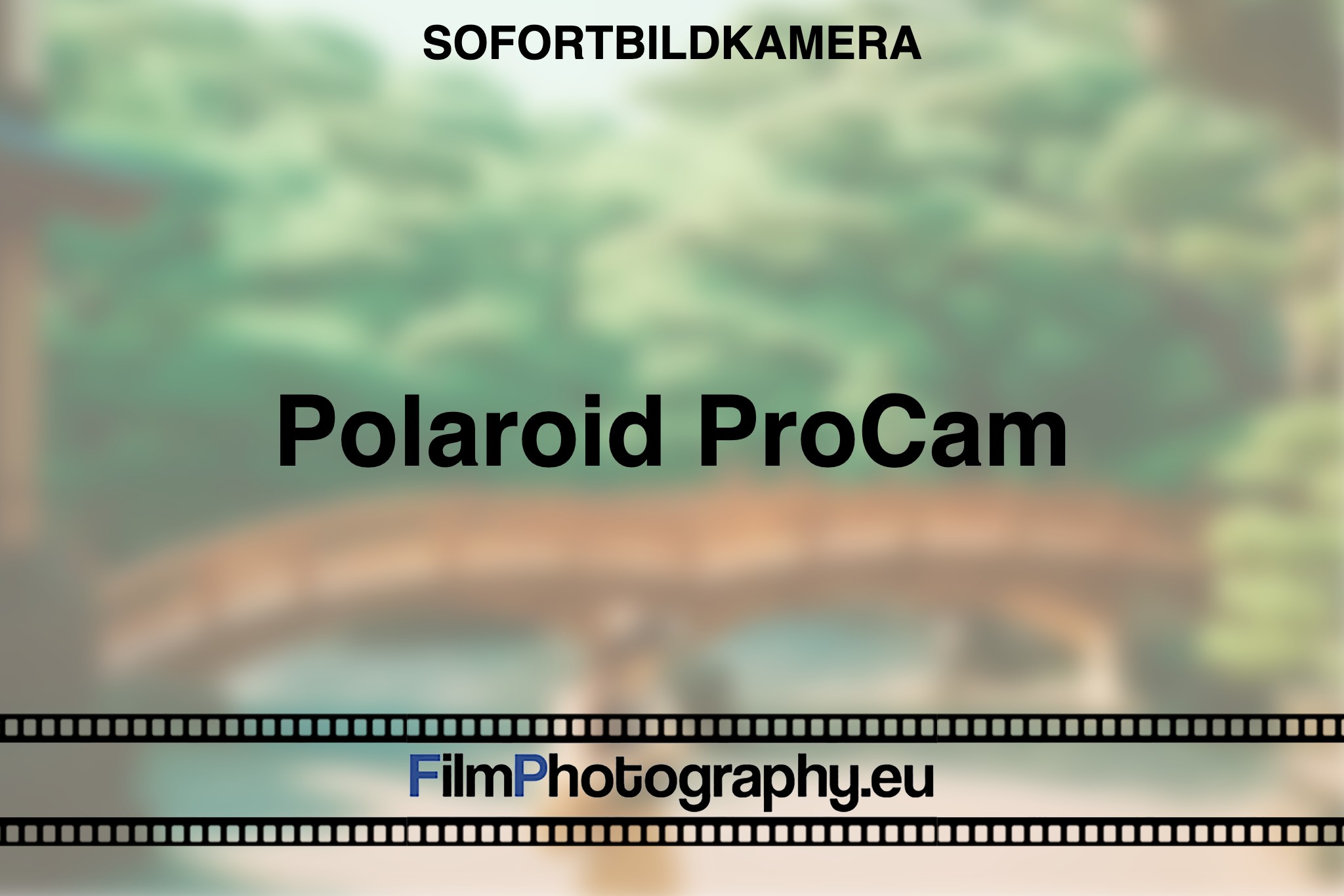 polaroid-procam-sofortbildkamera-bnv
