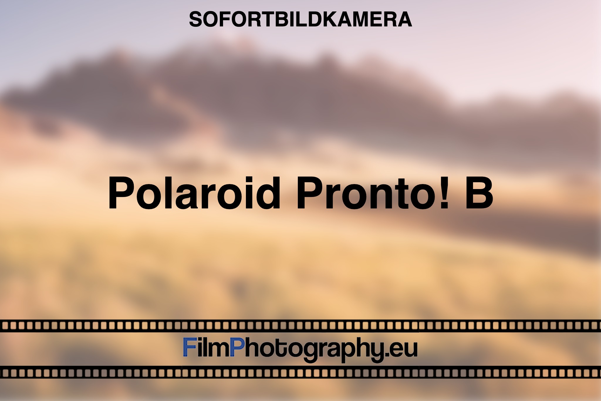 polaroid-pronto-b-sofortbildkamera-bnv