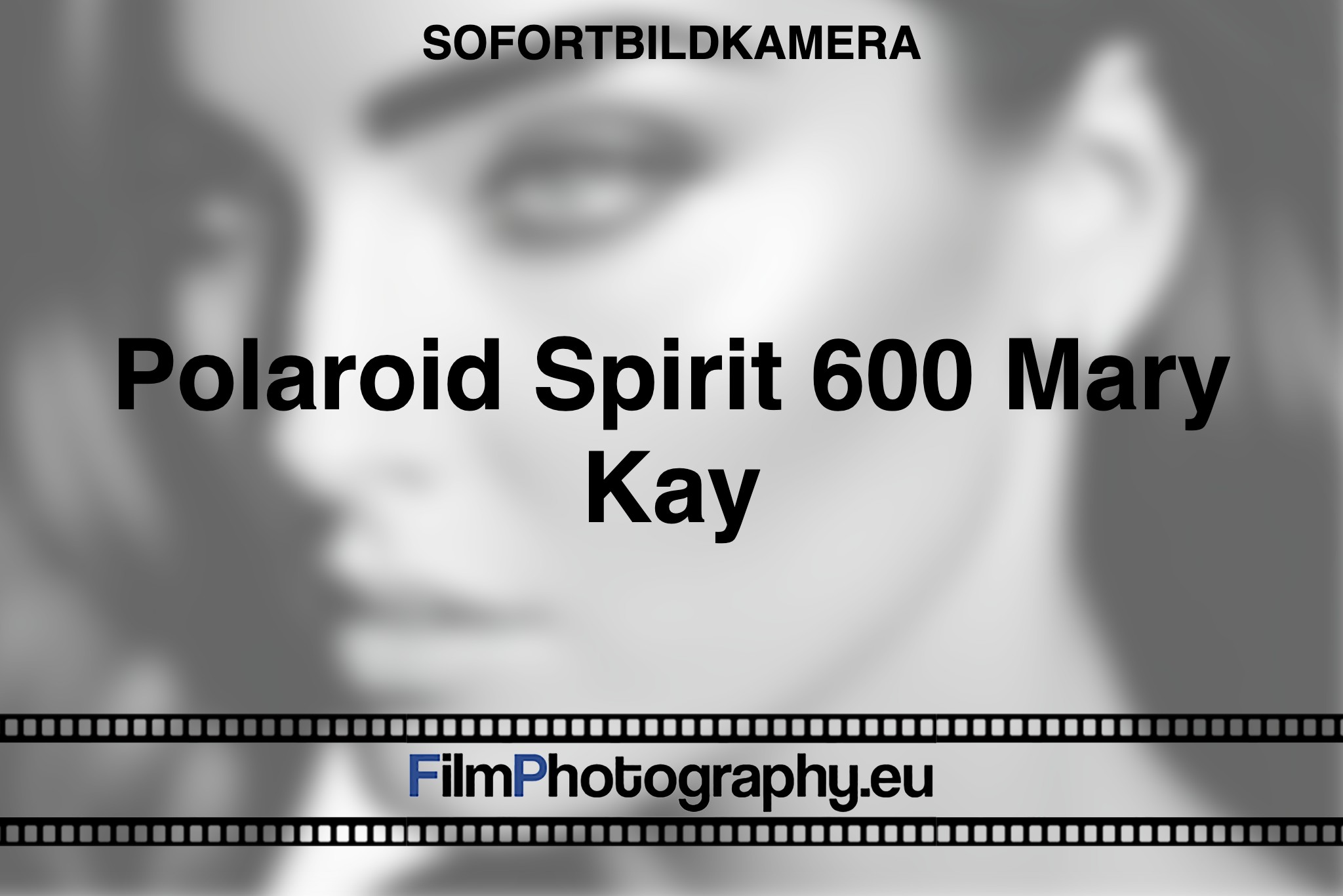 polaroid-spirit-600-mary-kay-sofortbildkamera-bnv