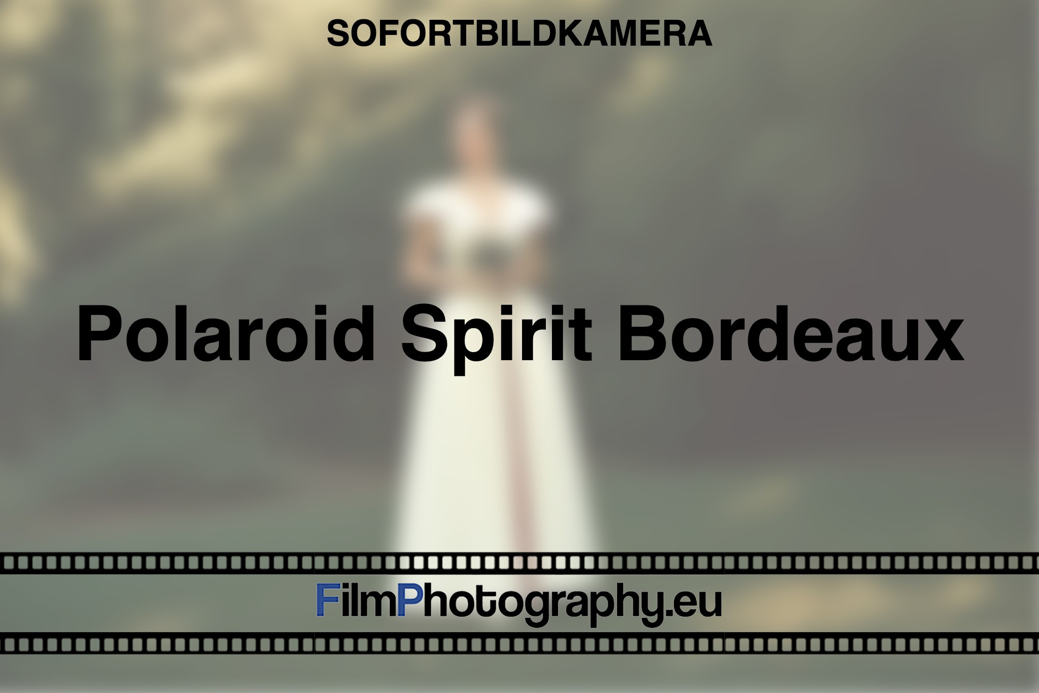 polaroid-spirit-bordeaux-sofortbildkamera-bnv