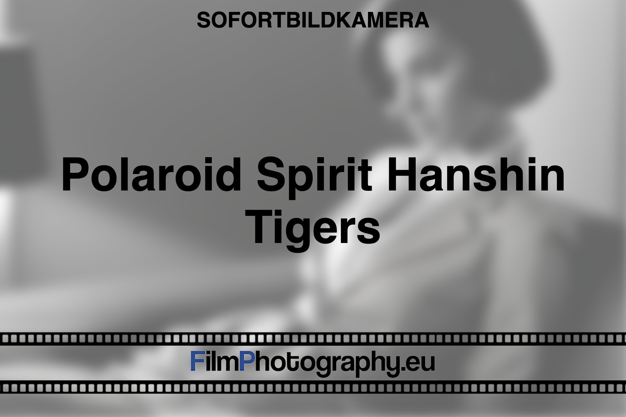 polaroid-spirit-hanshin-tigers-sofortbildkamera-bnv