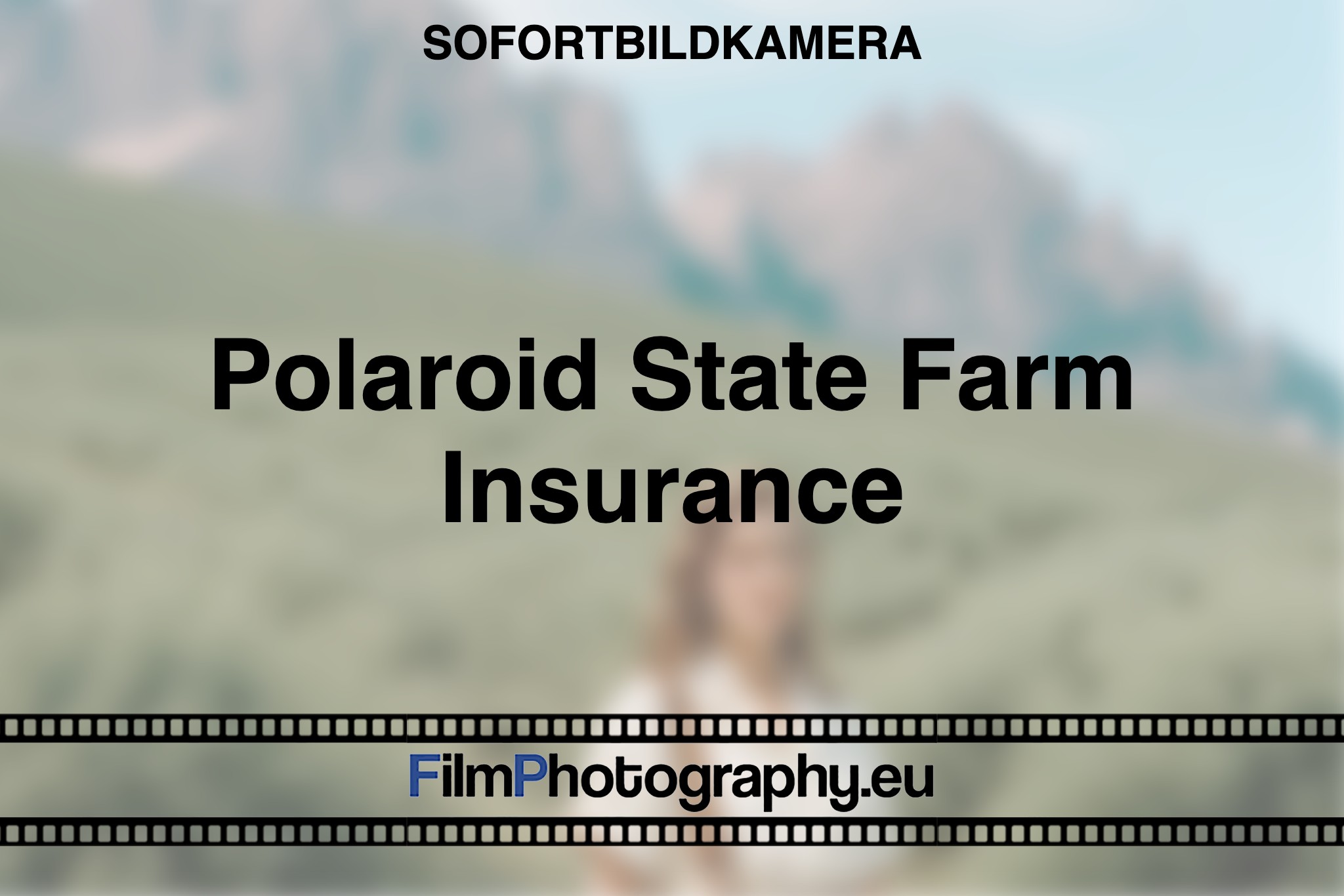 polaroid-state-farm-insurance-sofortbildkamera-bnv
