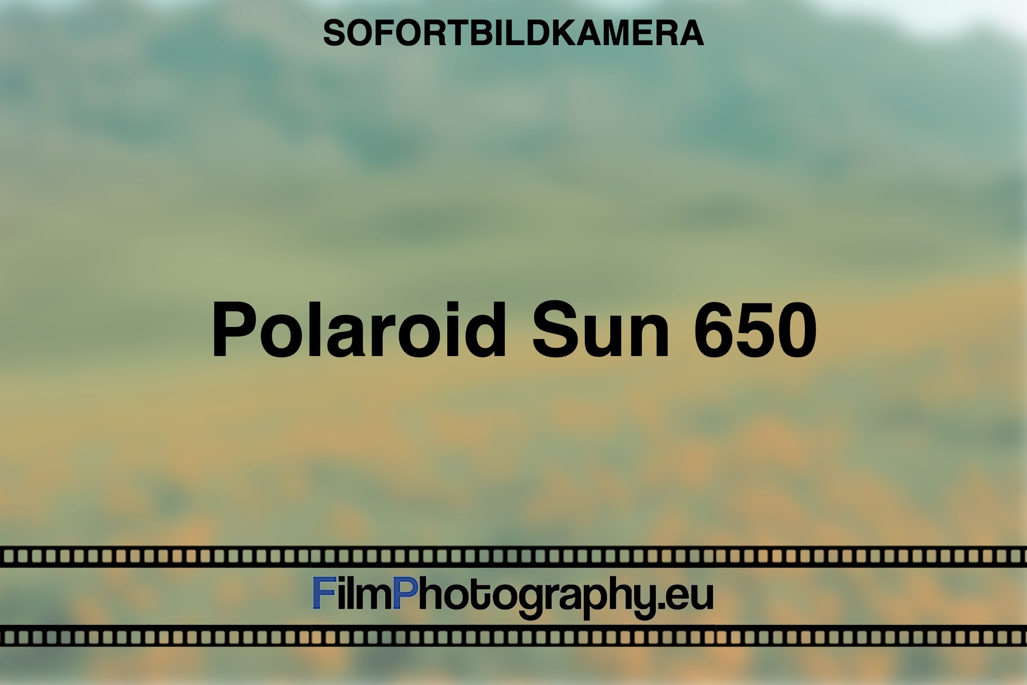 polaroid-sun-650-sofortbildkamera-bnv