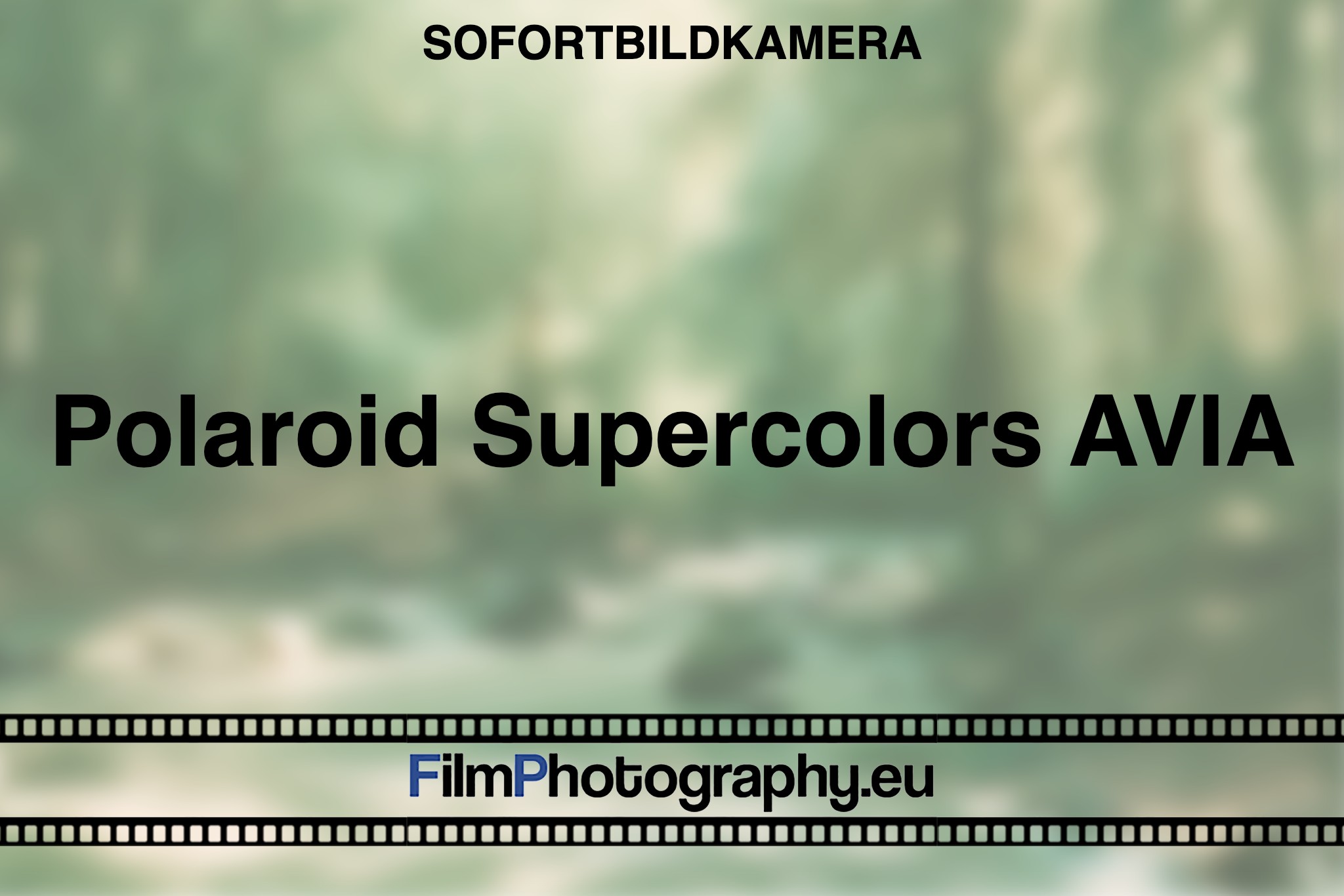 polaroid-supercolors-avia-sofortbildkamera-bnv