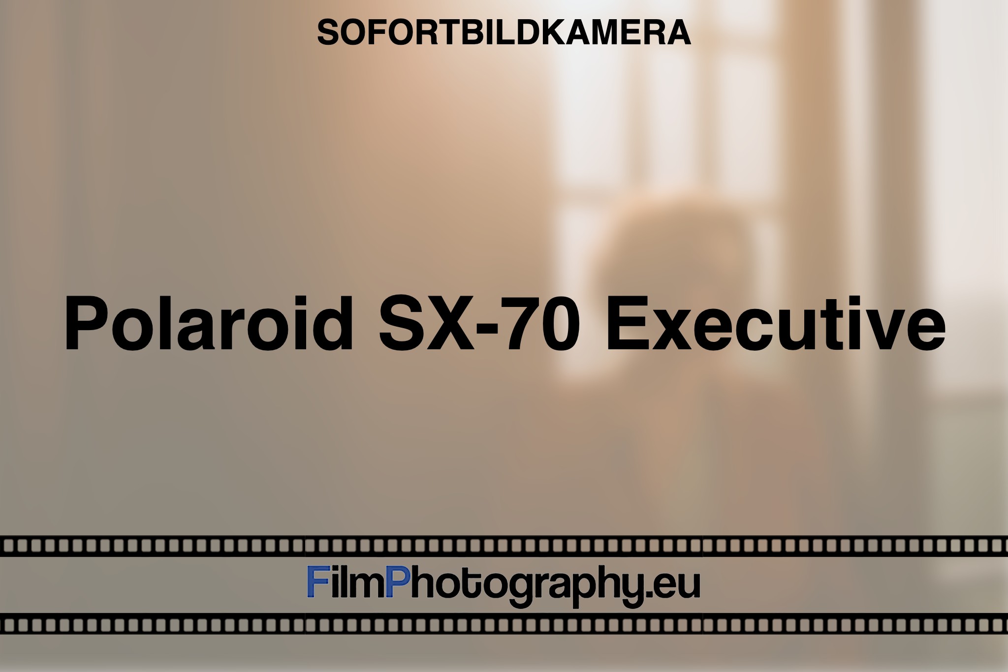 polaroid-sx-70-executive-sofortbildkamera-bnv