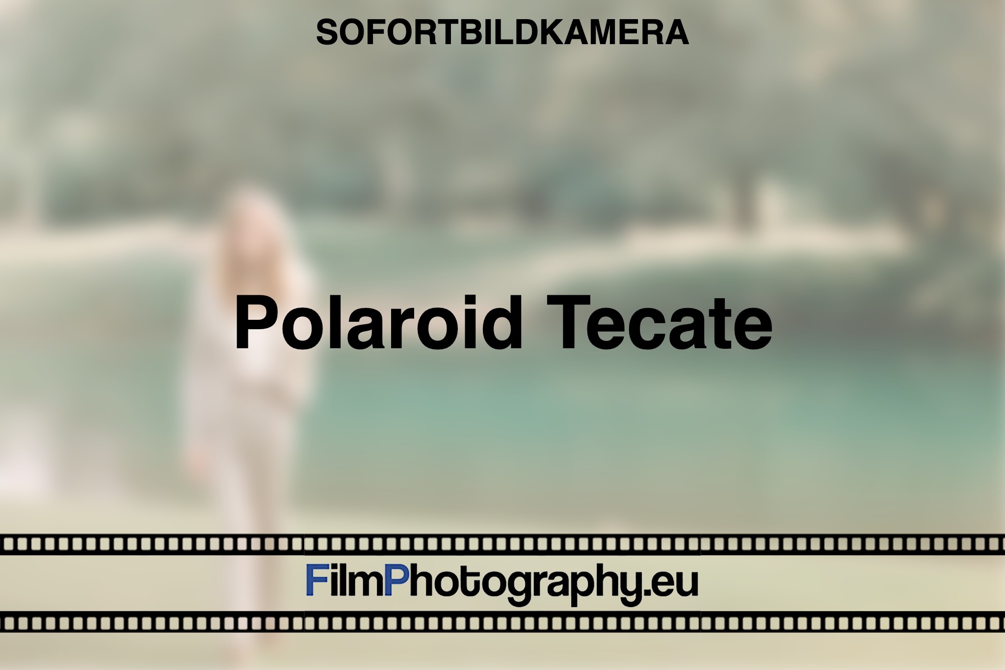 polaroid-tecate-sofortbildkamera-bnv