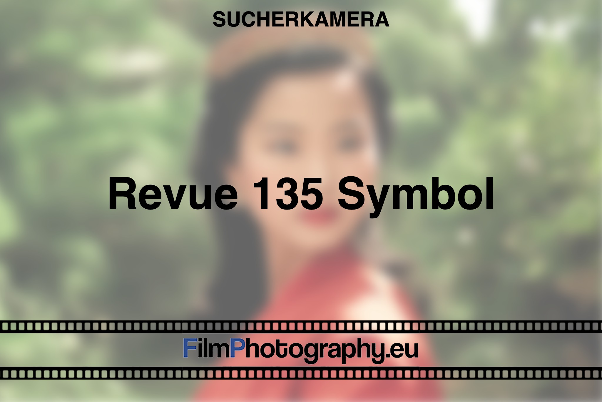revue-135-symbol-sucherkamera-bnv