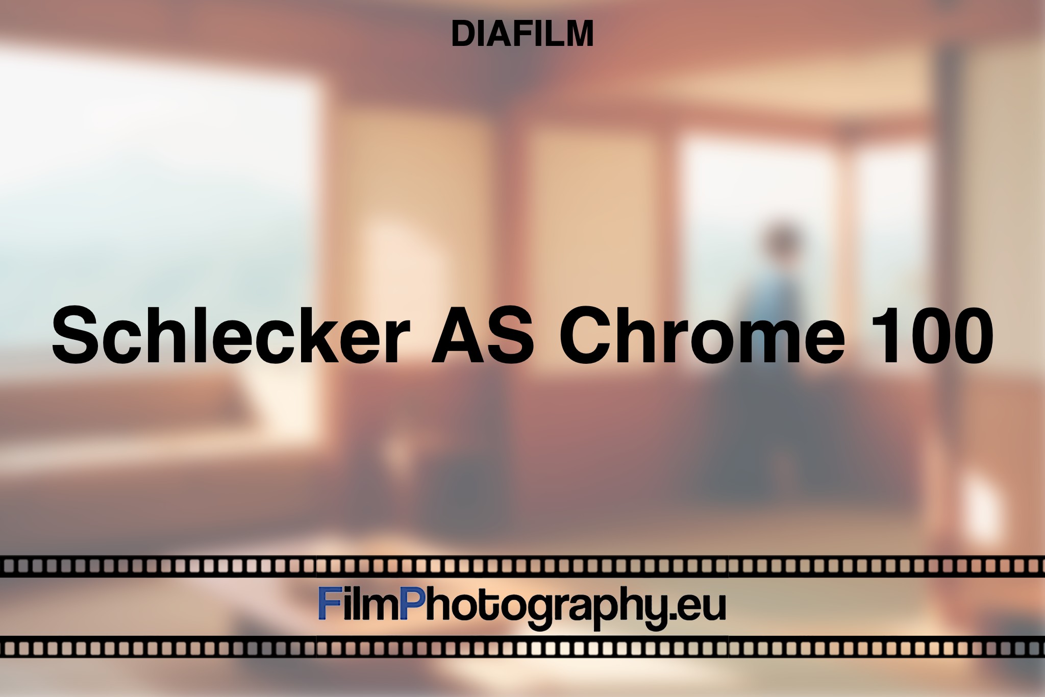 schlecker-as-chrome-100-diafilm-bnv