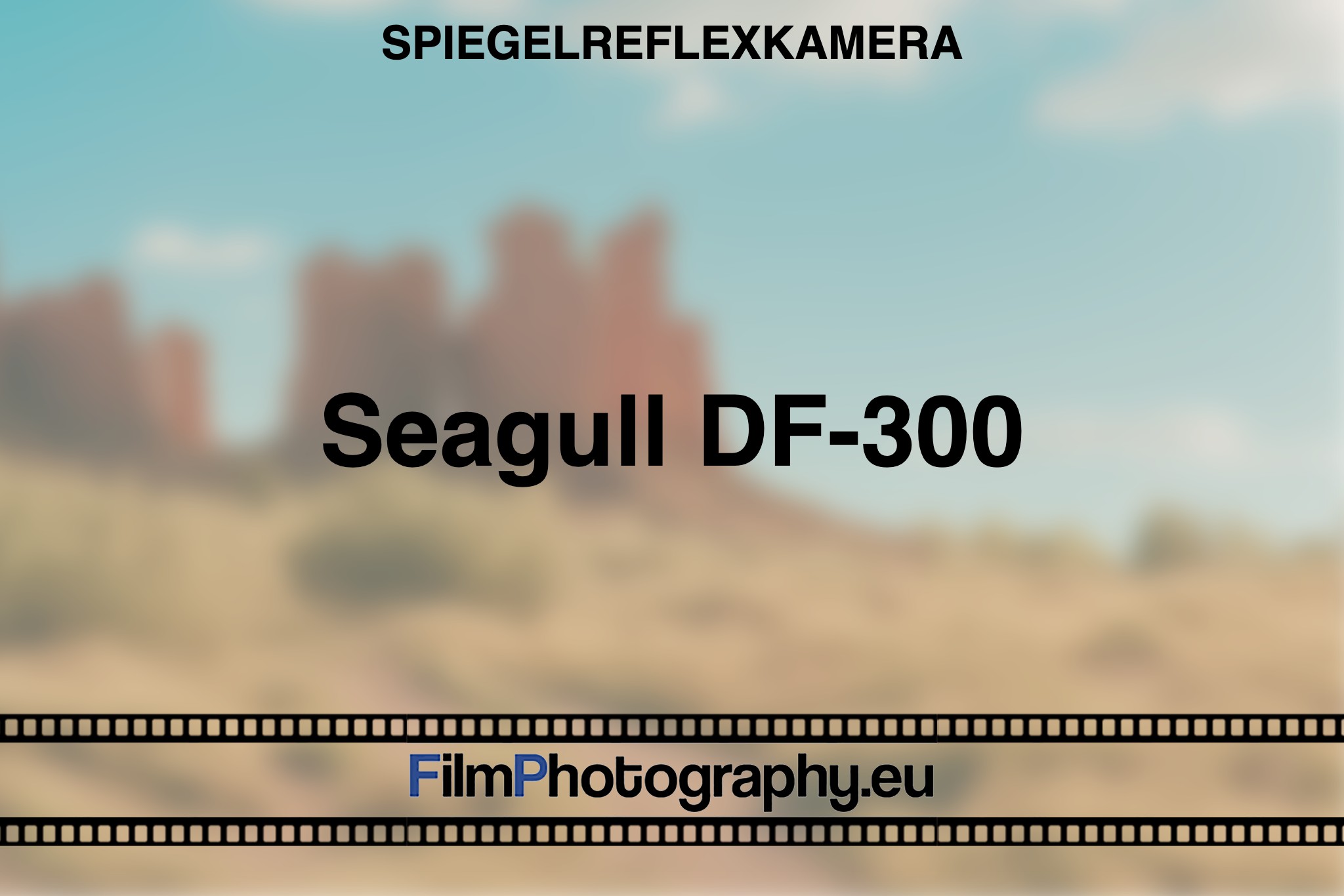 seagull-df-300-spiegelreflexkamera-bnv