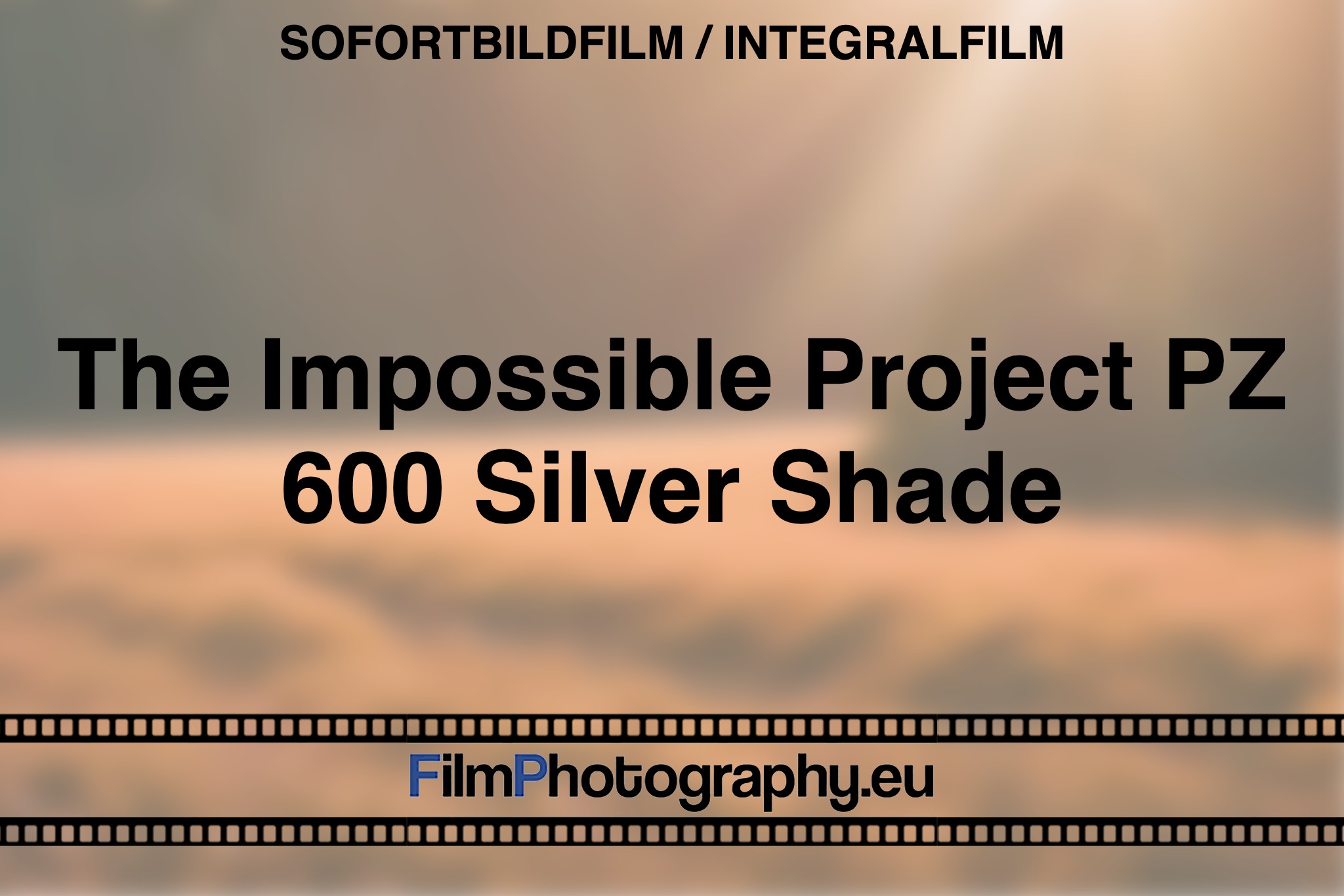 the-impossible-project-pz-600-silver-shade-sofortbildfilm-integralfilm-bnv