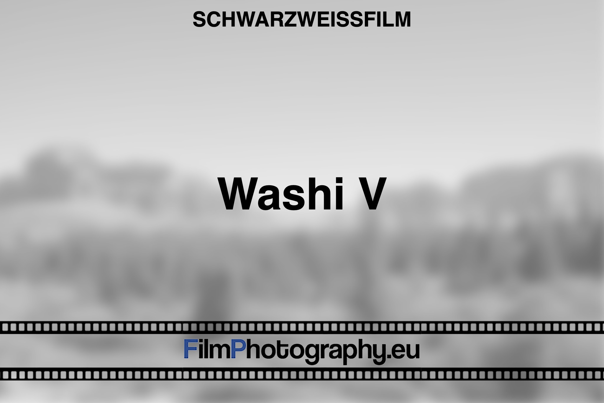 washi-v-schwarzweißfilm-bnv