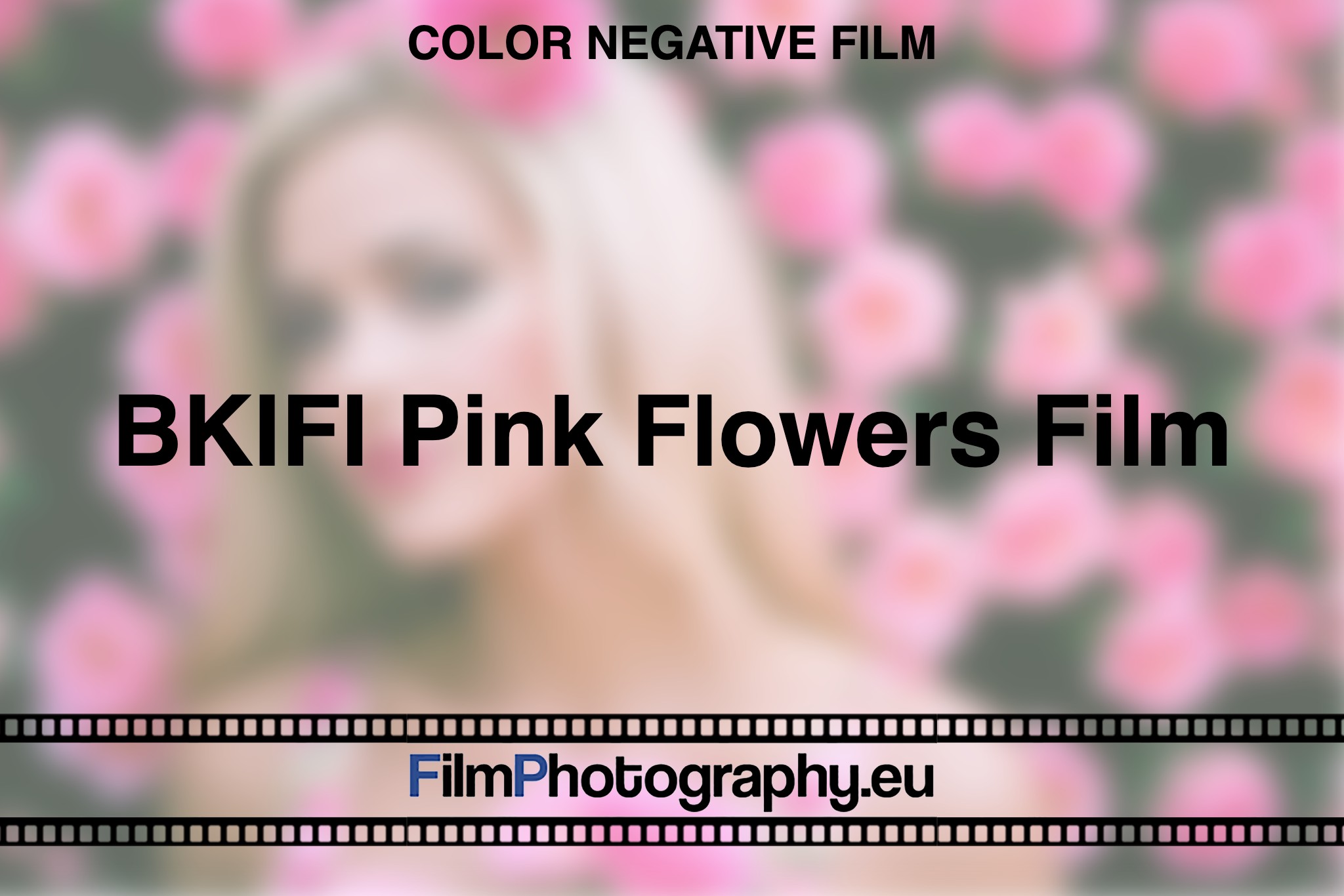 BKIFI-Pink-Flowers-Film-Color-negative-film-bnv