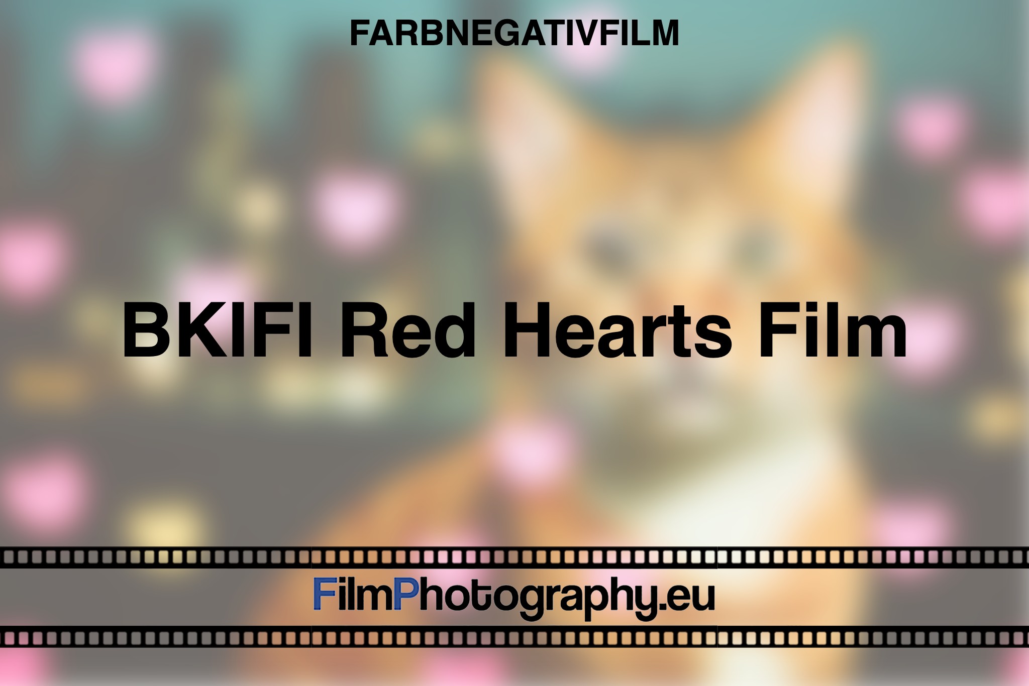 BKIFI-Red-Hearts-Film-Farbnegativfilm-bnv