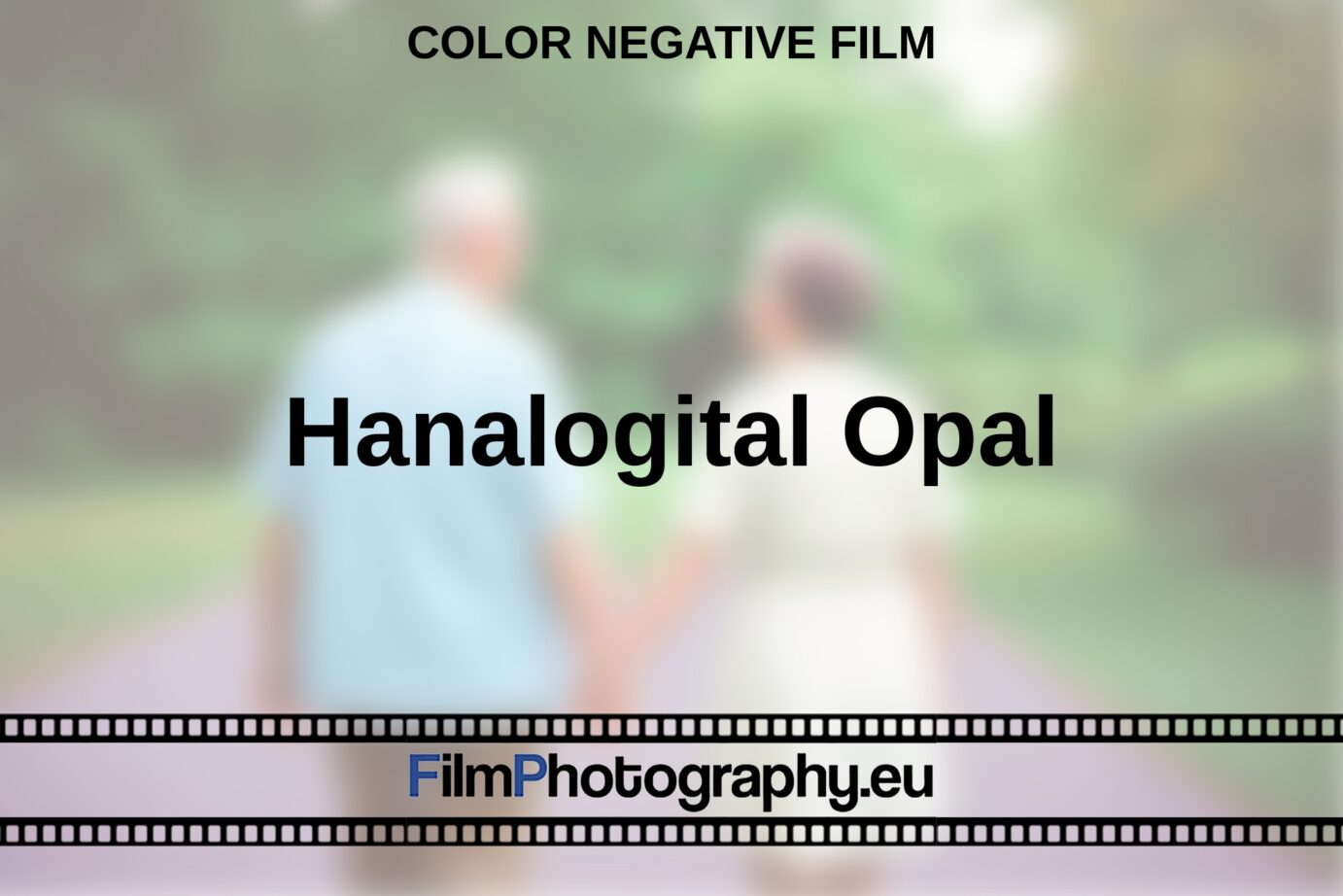 Hanalogital Opal All about the color film