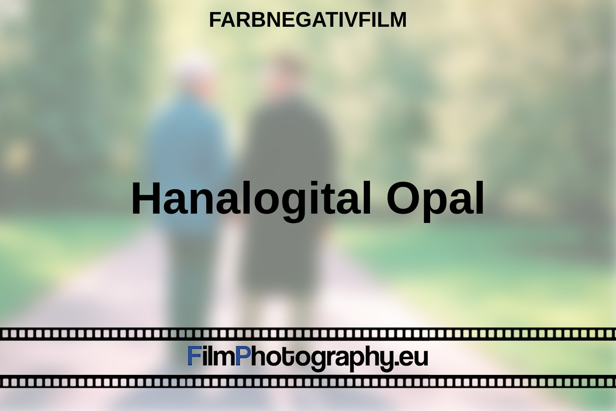 hanalogital-opal-farbnegativfilm-bnv.jpg