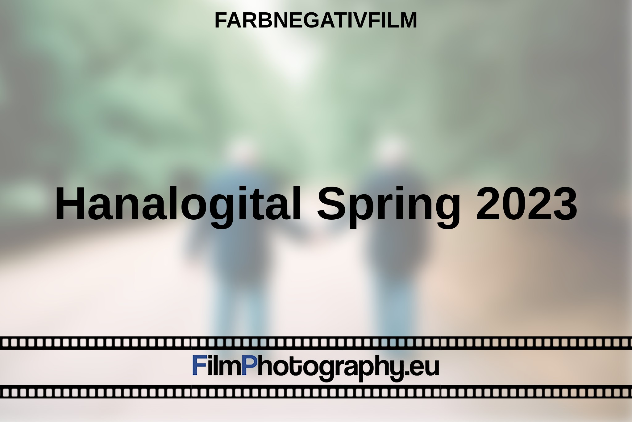 hanalogital-spring-2023-farbnegativfilm-bnv.jpg