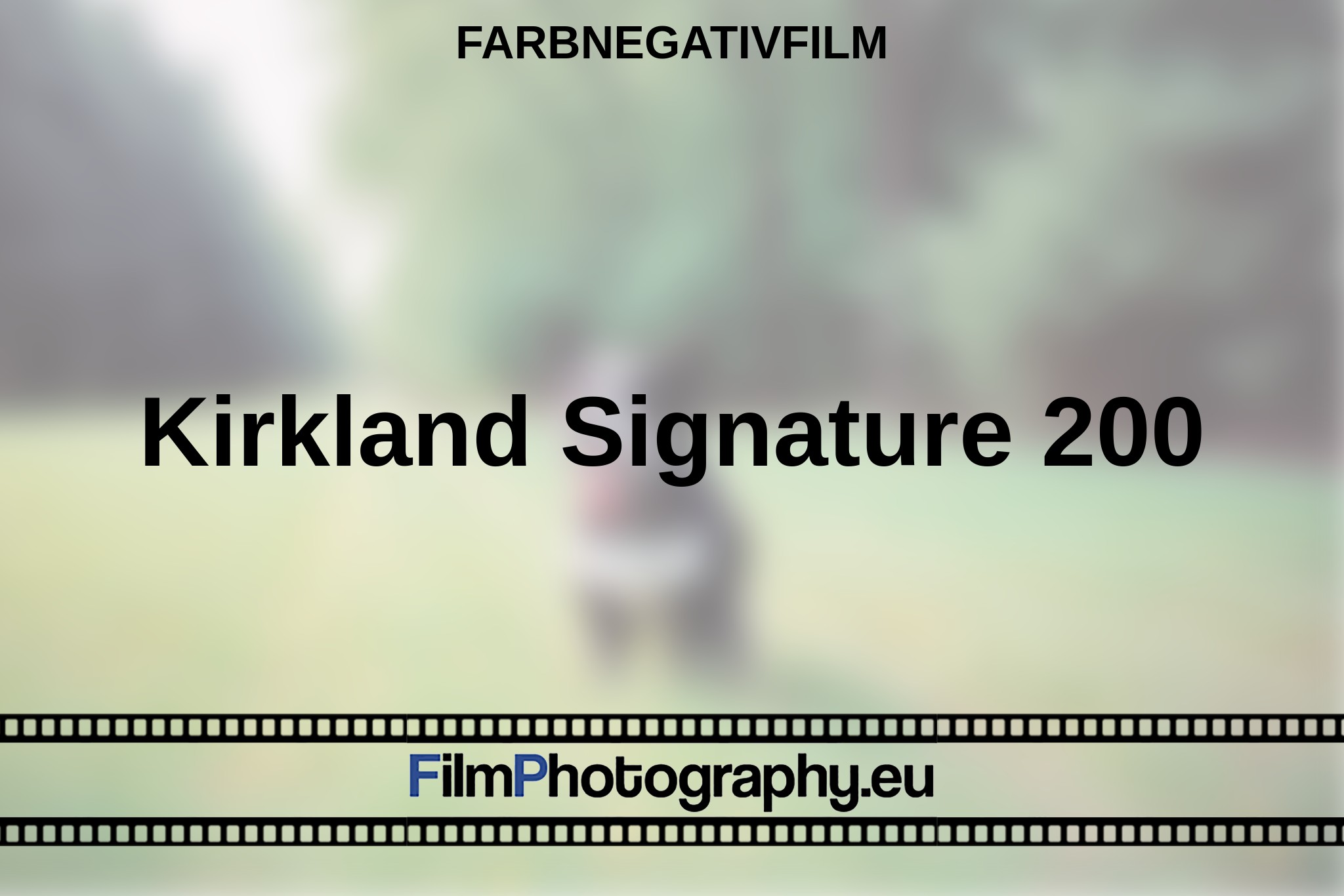 kirkland-signature-200-farbnegativfilm-bnv.jpg