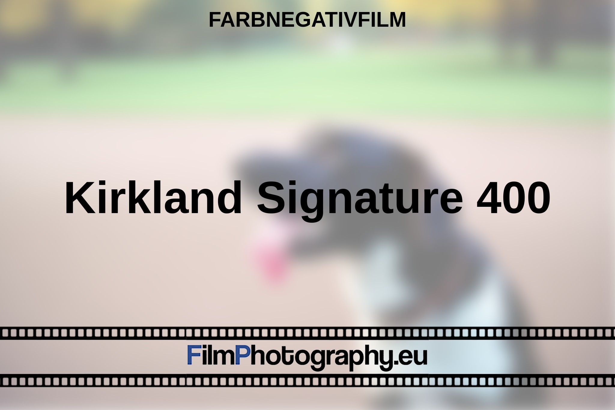 kirkland-signature-400-farbnegativfilm-bnv.jpg