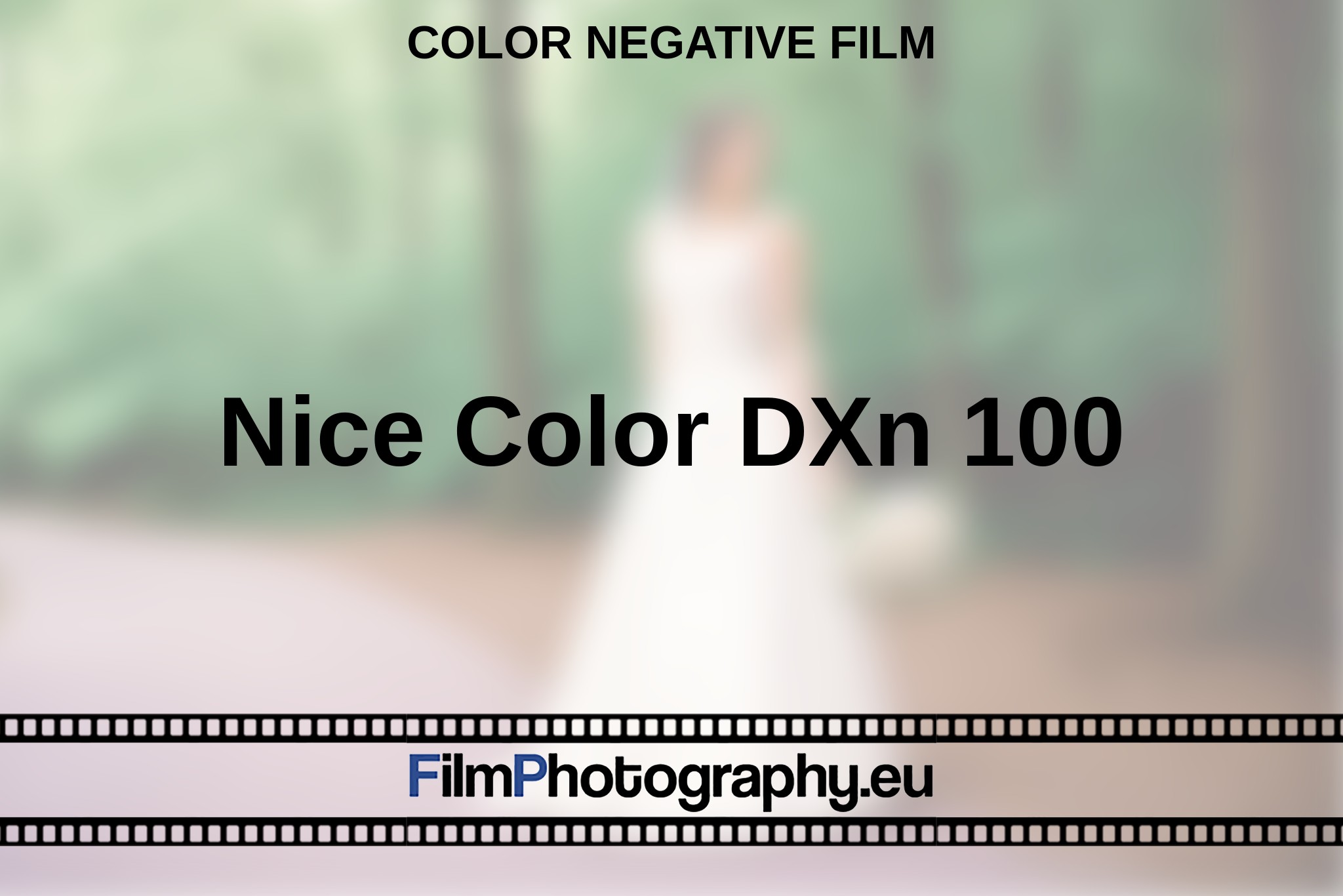 nice-color-dxn-100-color-negative-film-en-bnv.jpg