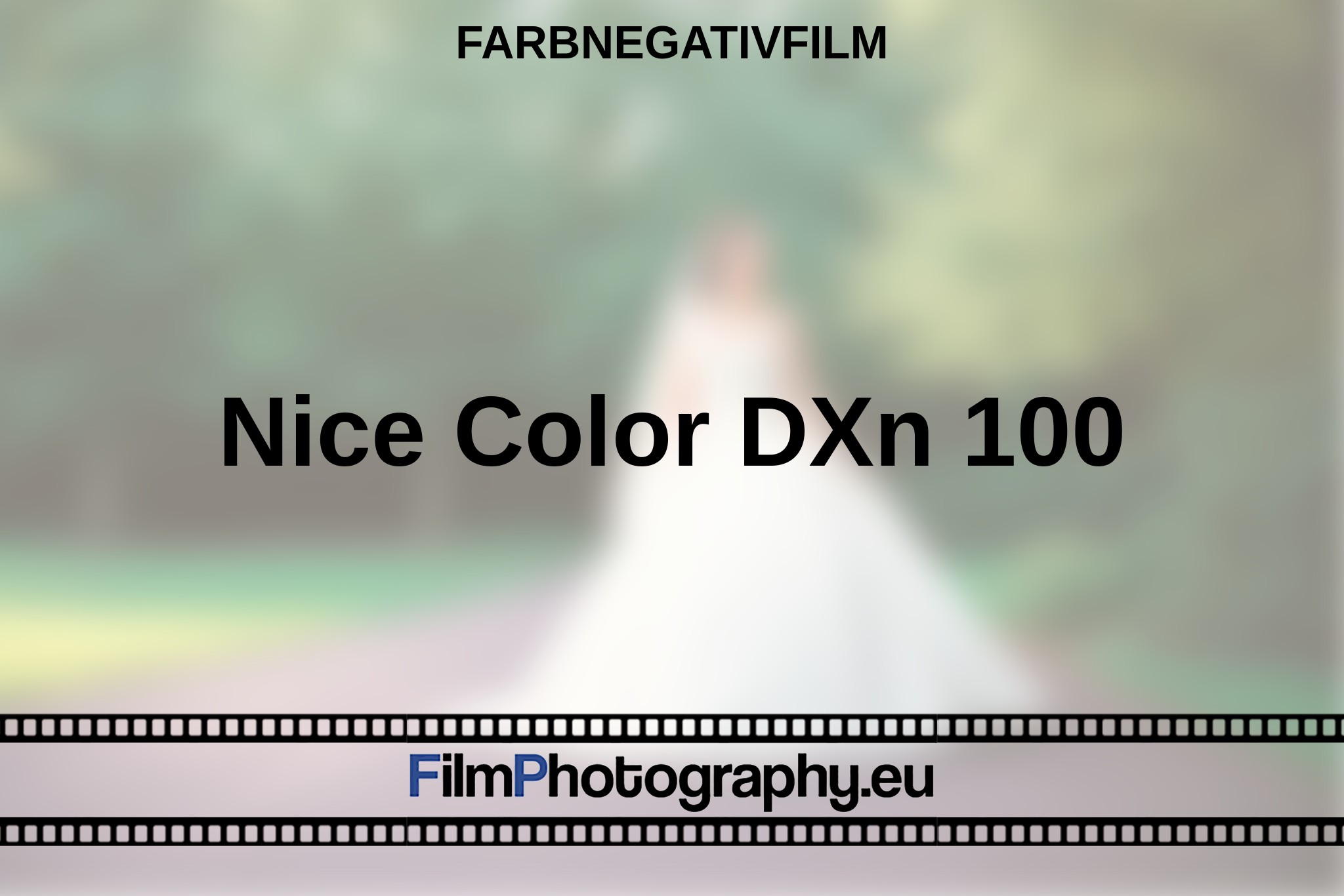 nice-color-dxn-100-farbnegativfilm-bnv.jpg