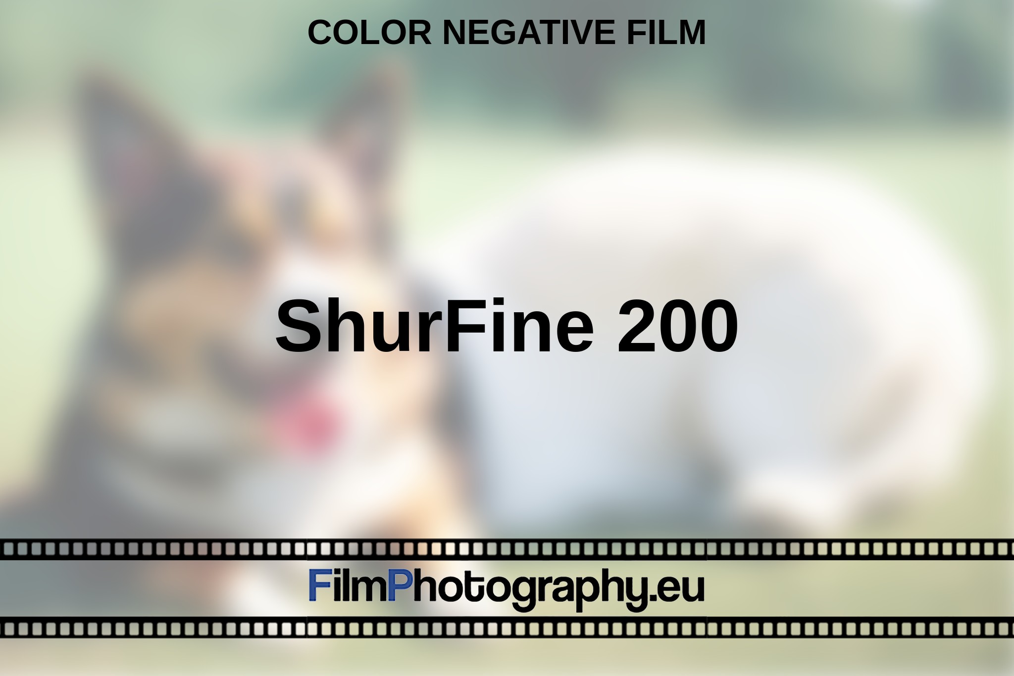 shurfine-200-color-negative-film-en-bnv.jpg