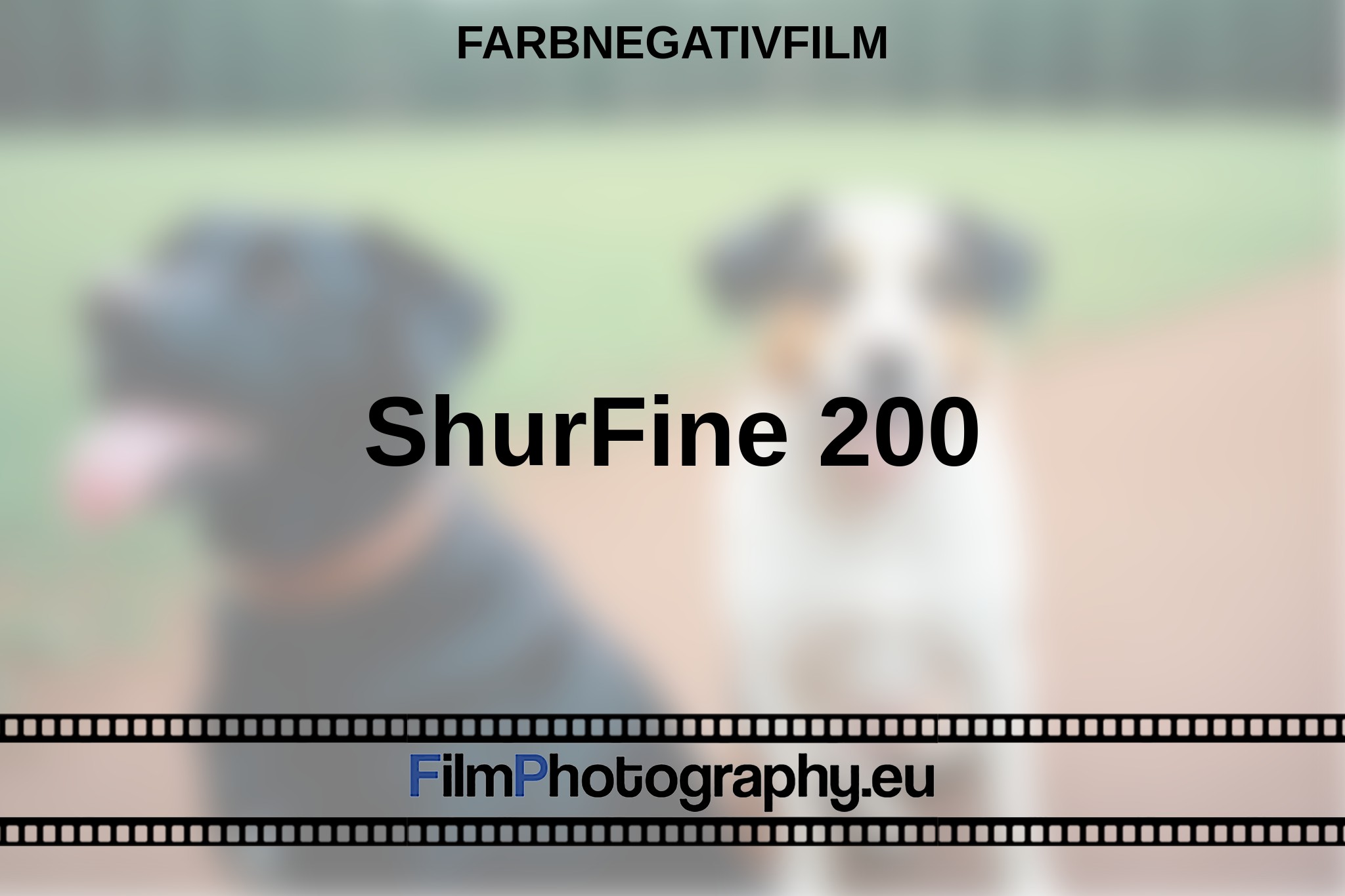 shurfine-200-farbnegativfilm-bnv.jpg
