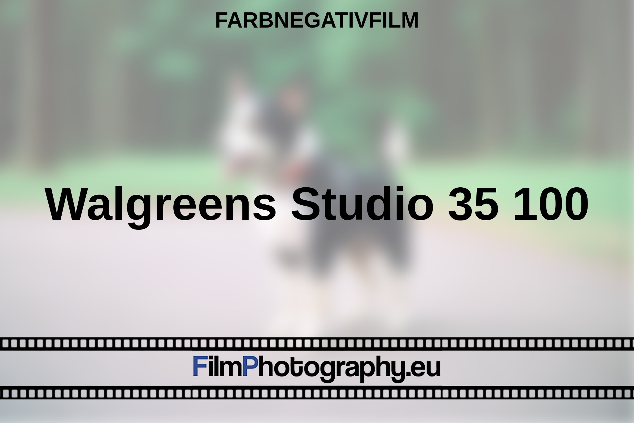 walgreens-studio-35-100-farbnegativfilm-bnv.jpg