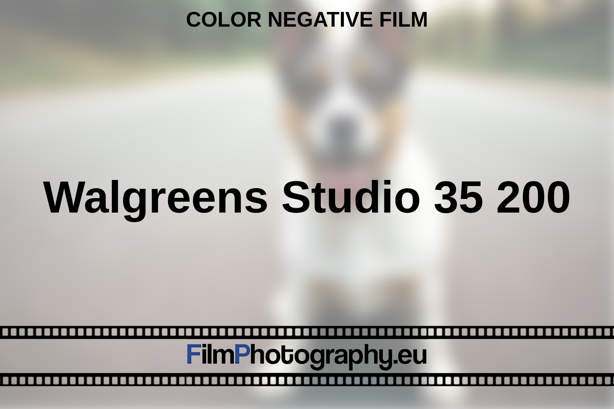 walgreens-studio-35-200-color-negative-film-en-bnv.jpg