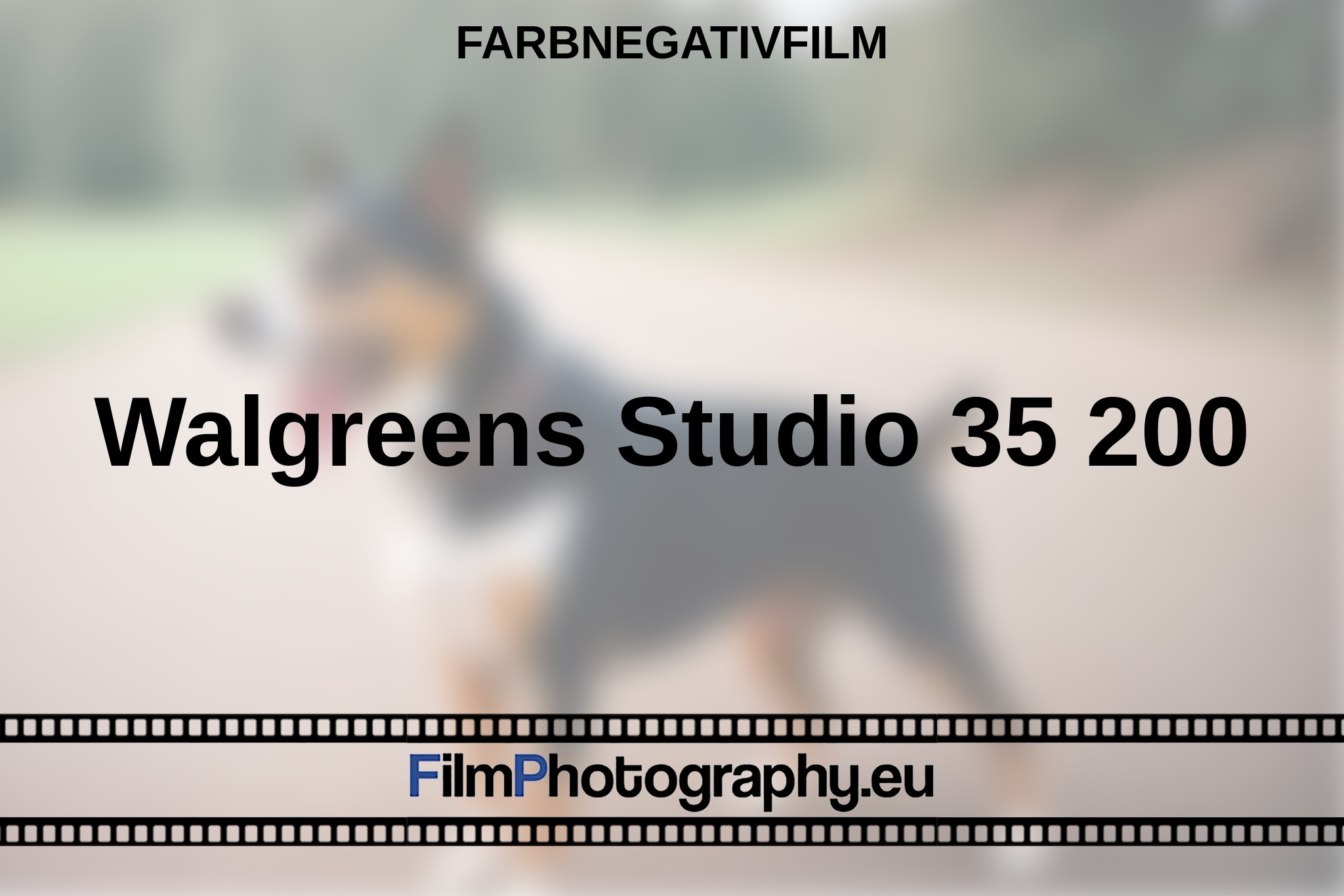 walgreens-studio-35-200-farbnegativfilm-bnv.jpg