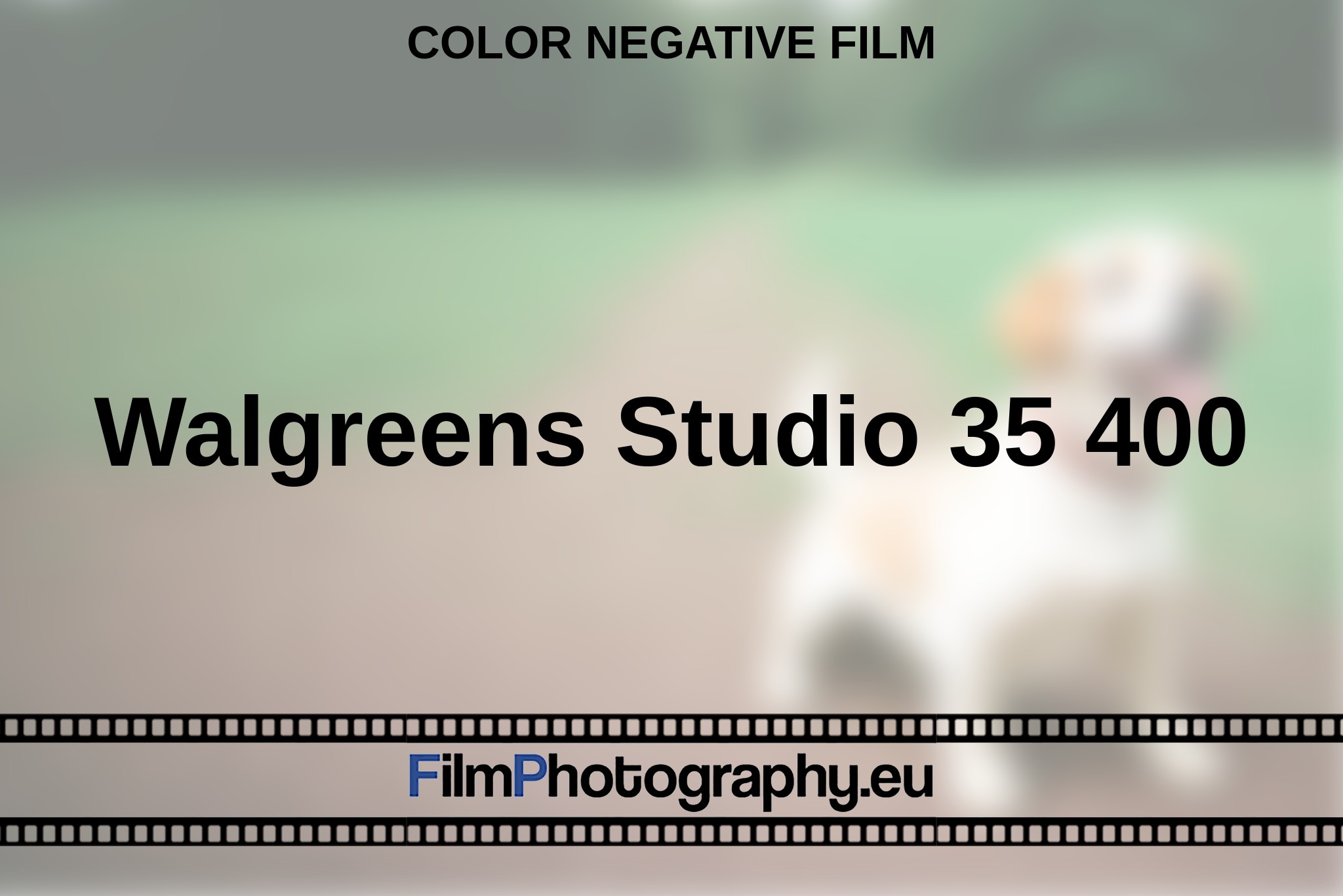 walgreens-studio-35-400-color-negative-film-en-bnv.jpg