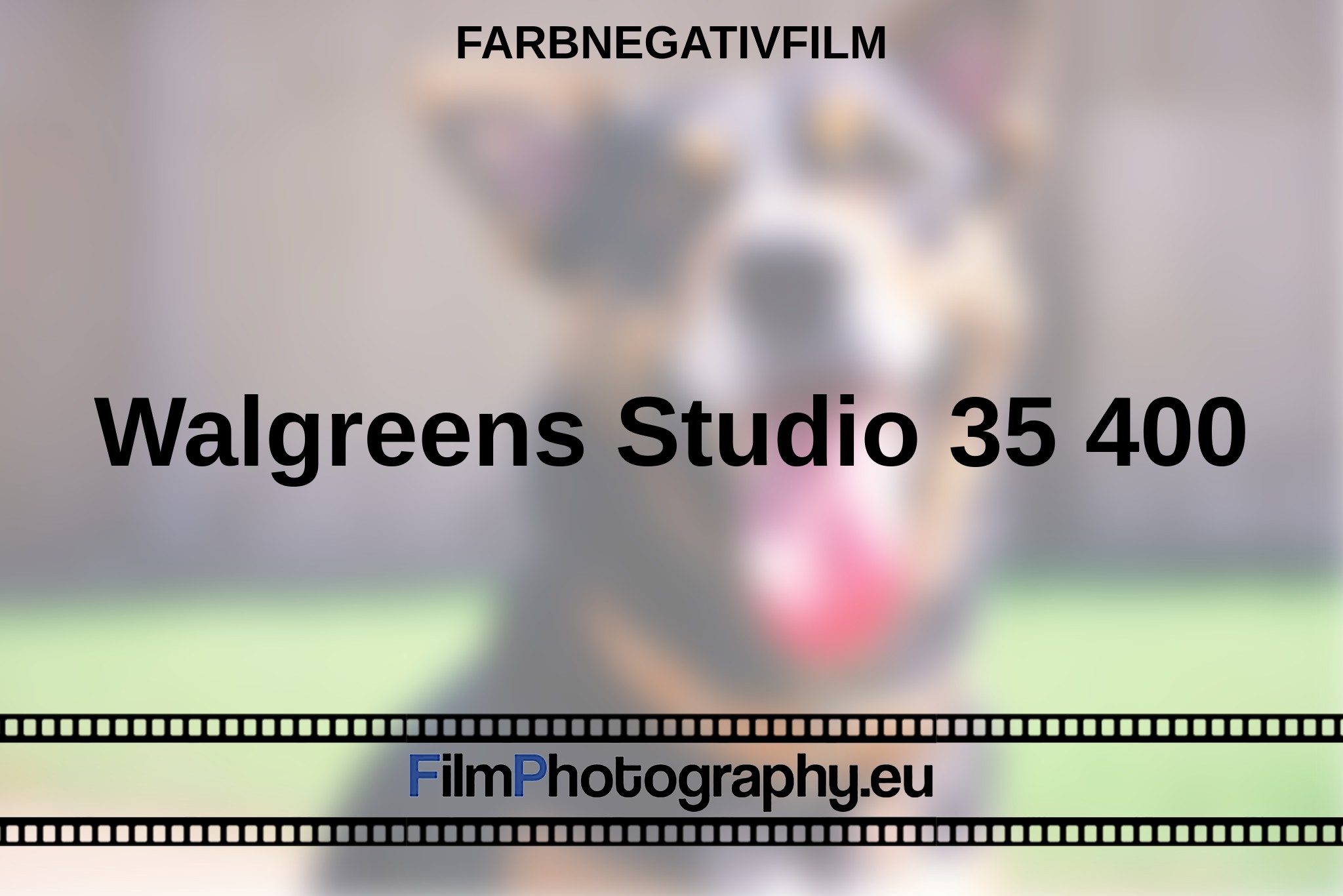 walgreens-studio-35-400-farbnegativfilm-bnv.jpg