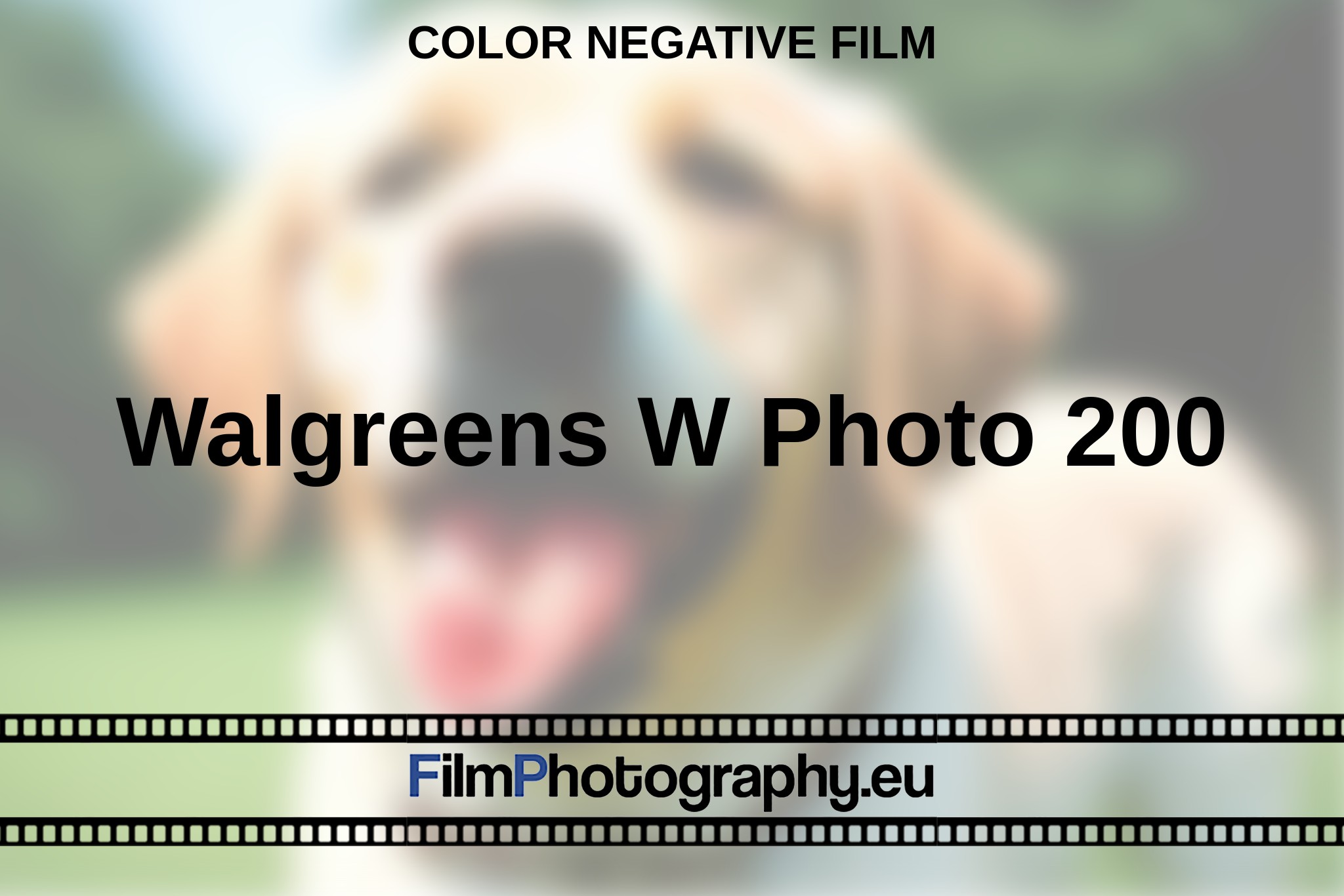 walgreens-w-photo-200-color-negative-film-en-bnv.jpg
