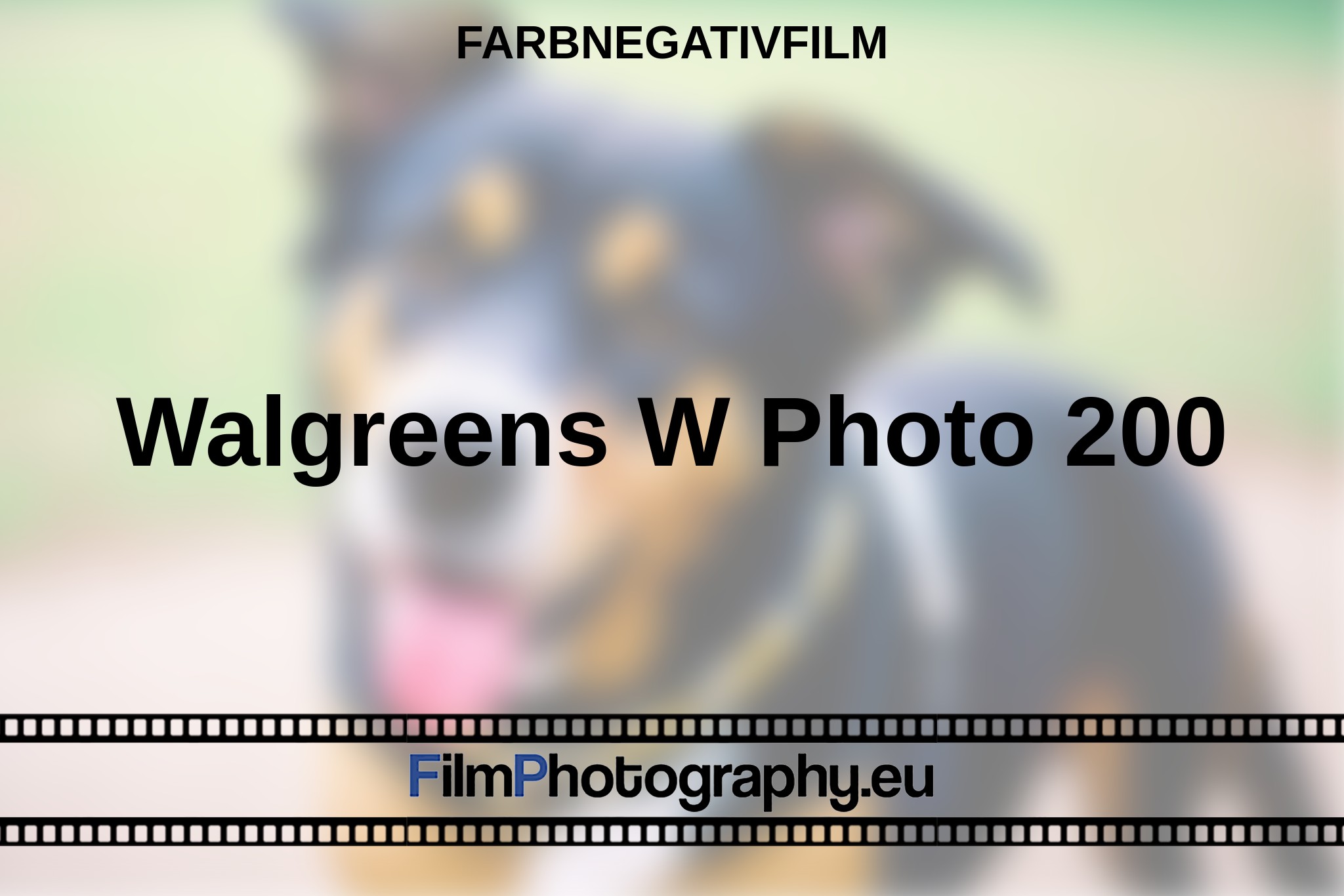walgreens-w-photo-200-farbnegativfilm-bnv.jpg