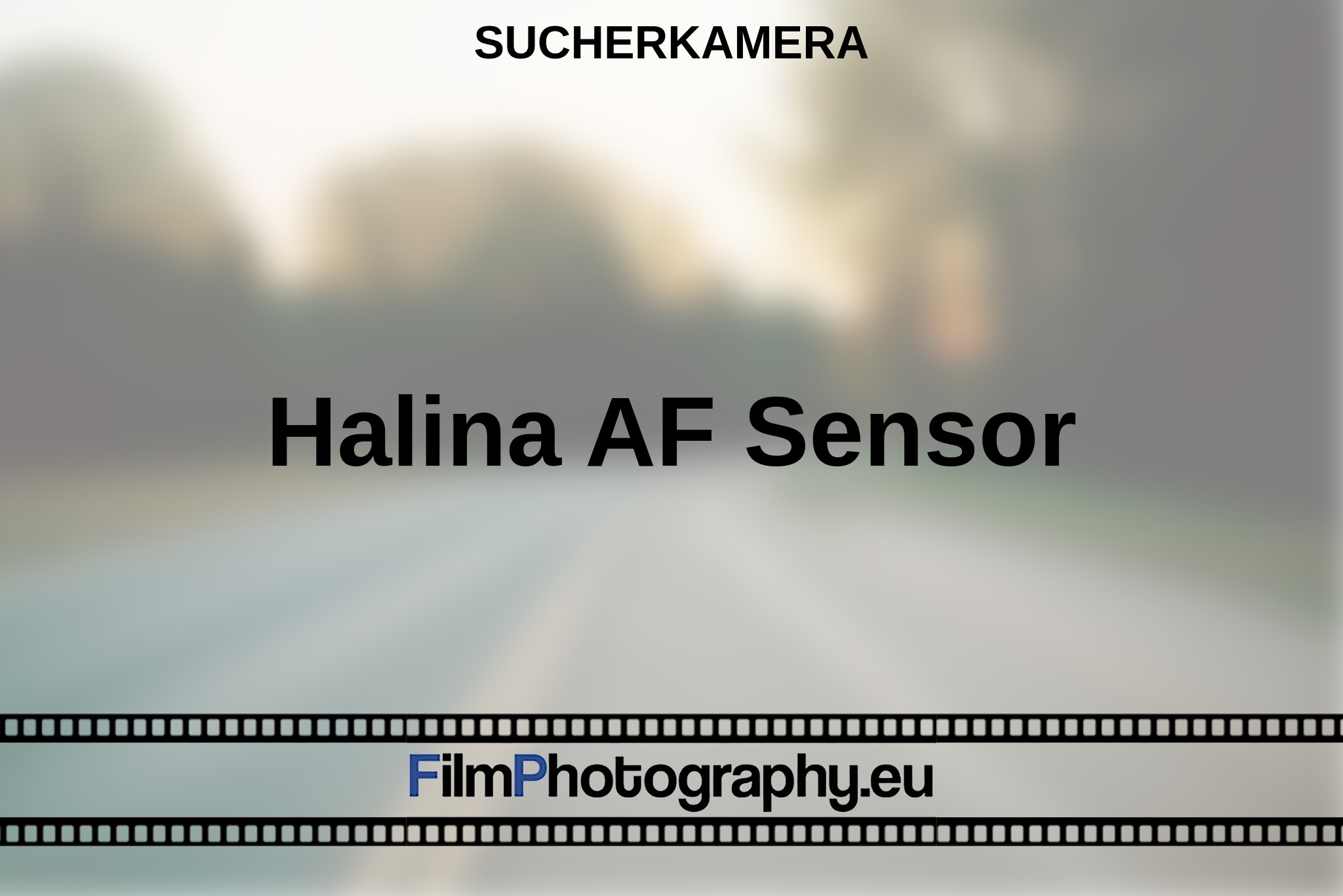 halina-af-sensor-sucherkamera-bnv.jpg