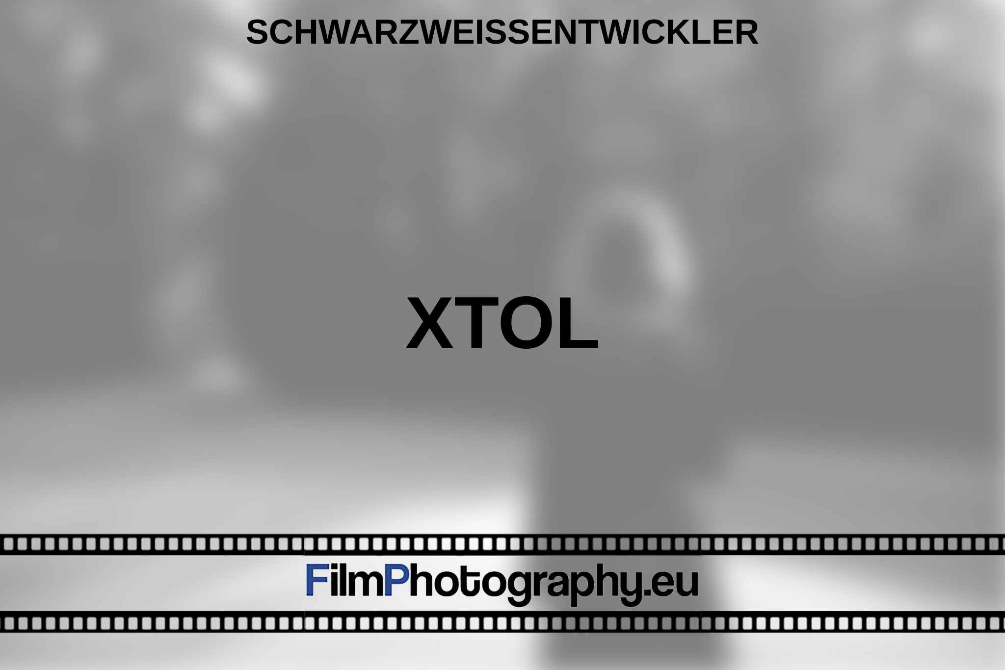 xtol-schwarzweißentwickler-bnv.jpg
